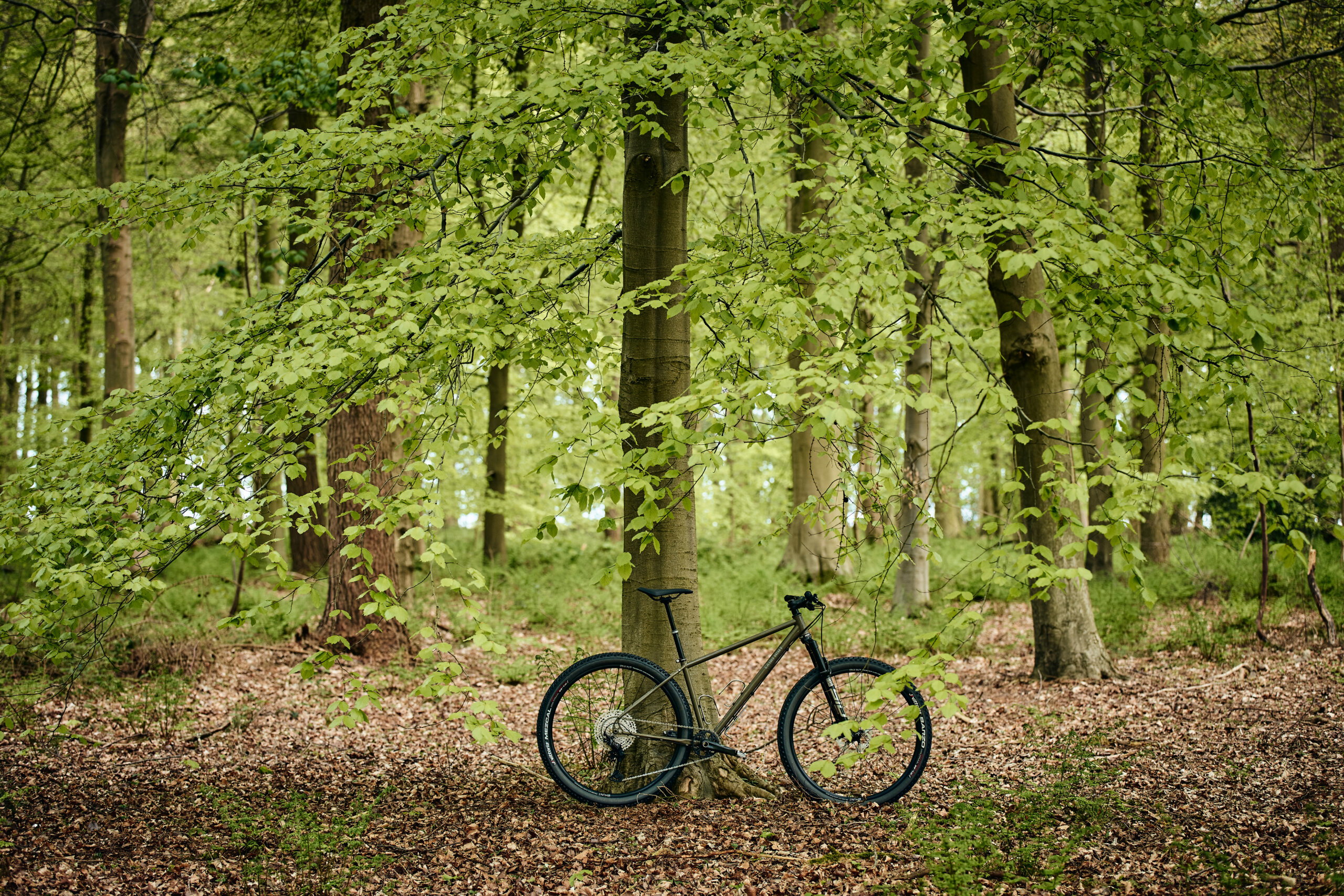 Holt 1.0 Medium Moss