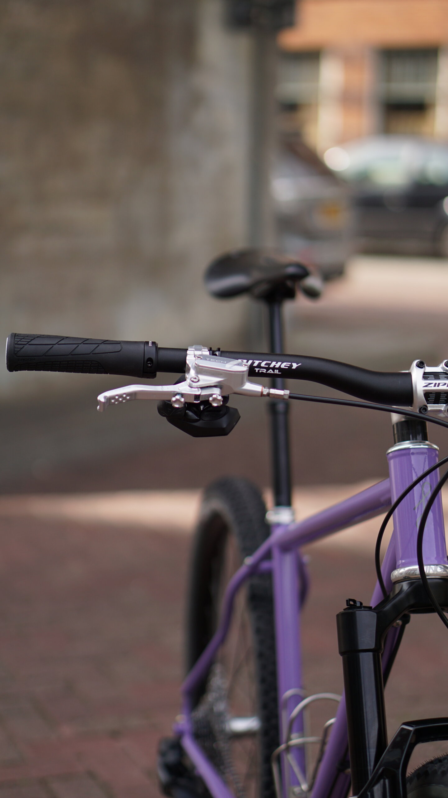 Holt 1.0 Medium Violet