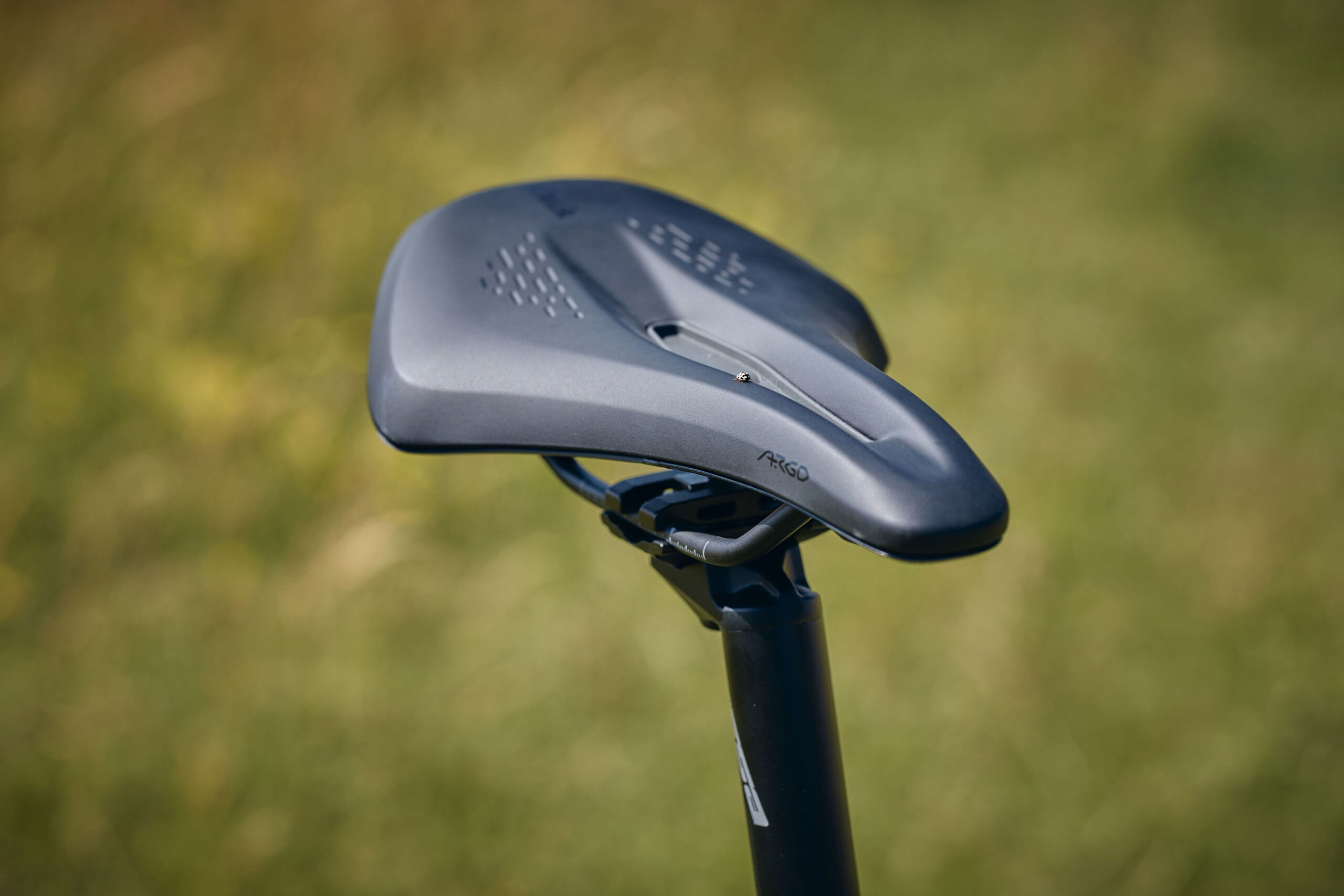 Faran 2.5 54T Midnight Blue