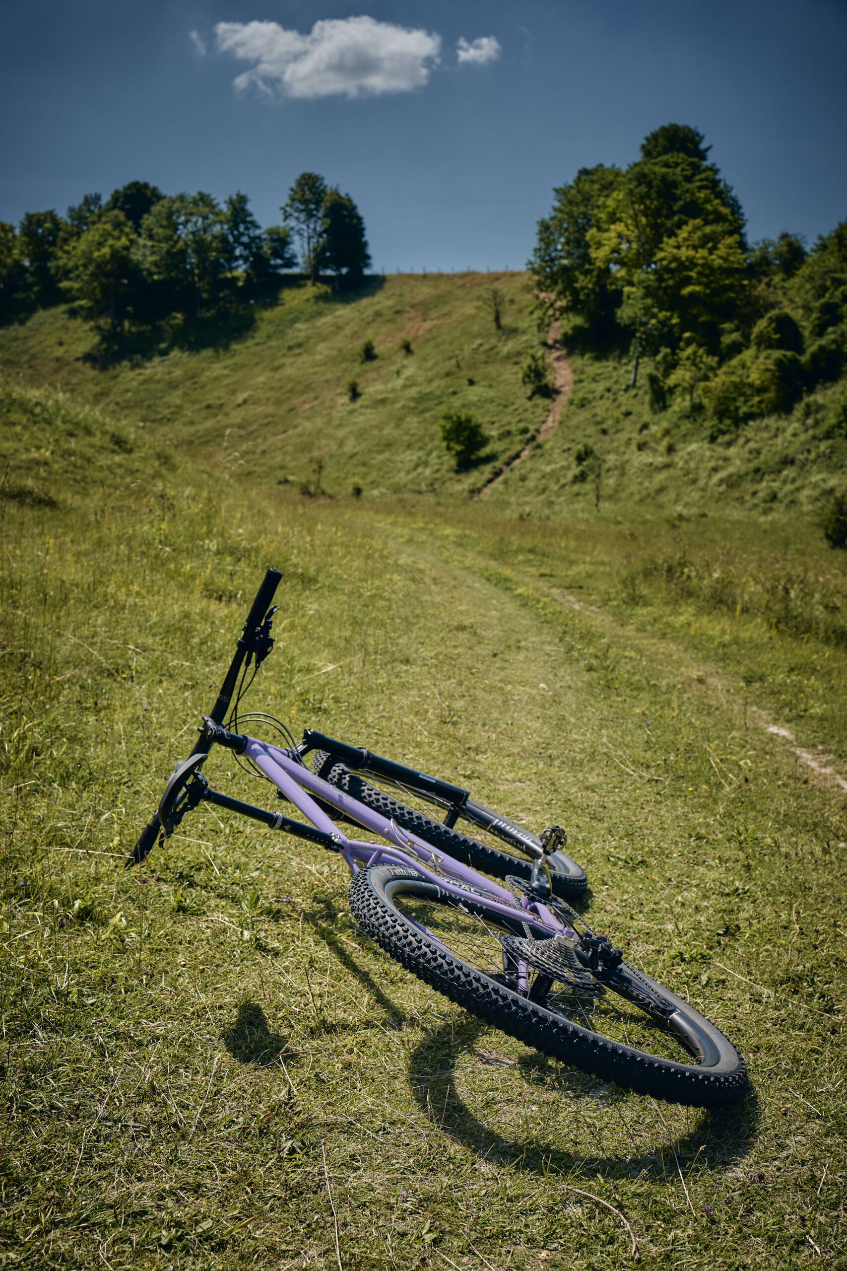 Holt 1.0 Large Violet