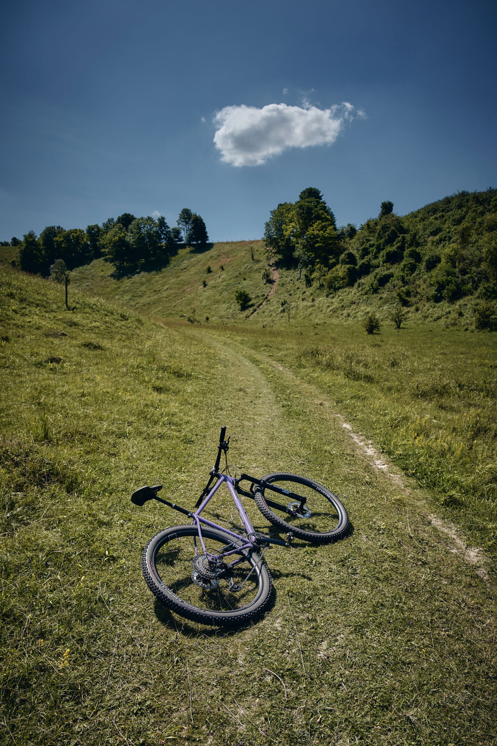 Holt 1.0 Large Violet