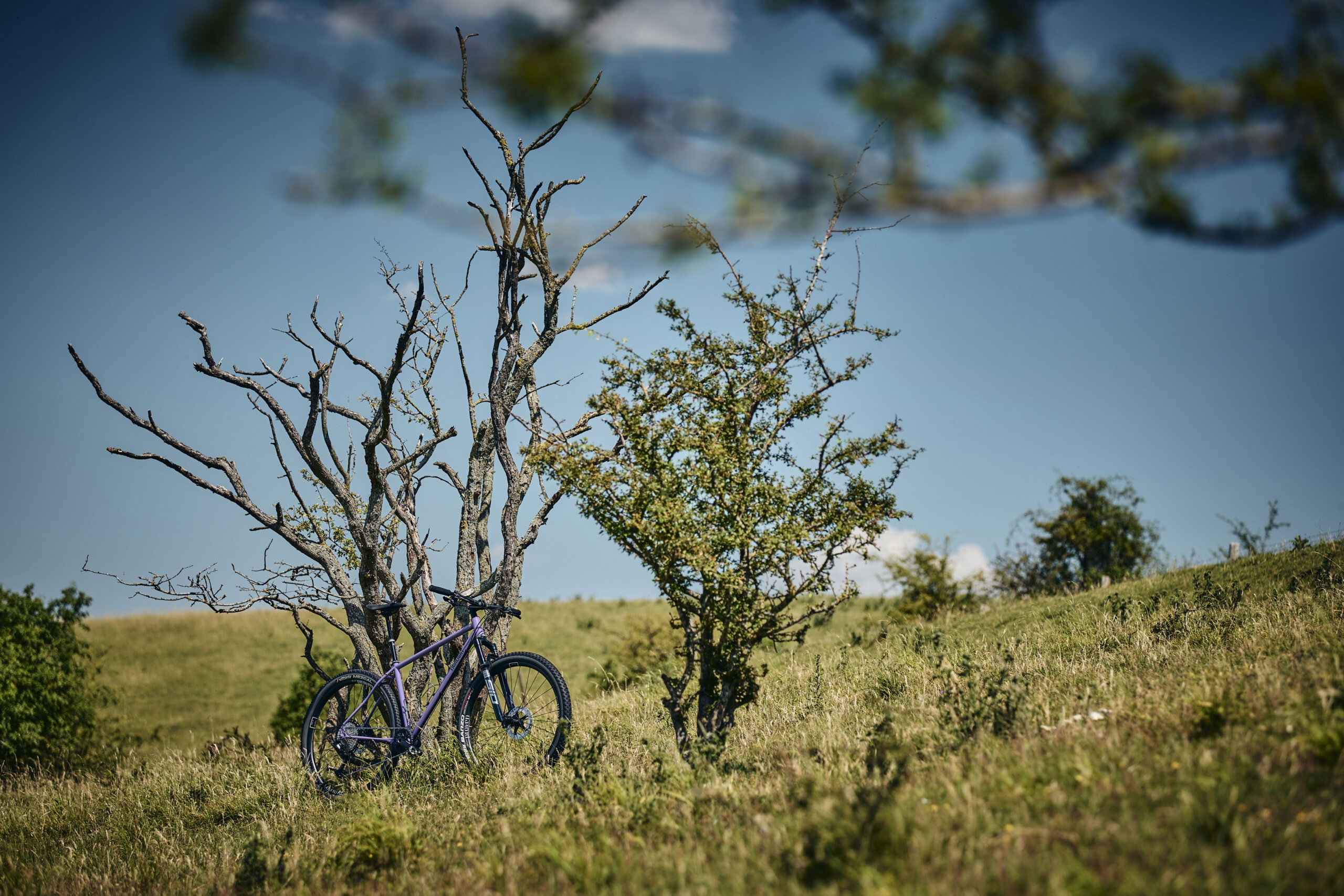 Holt 1.0 Large Violet