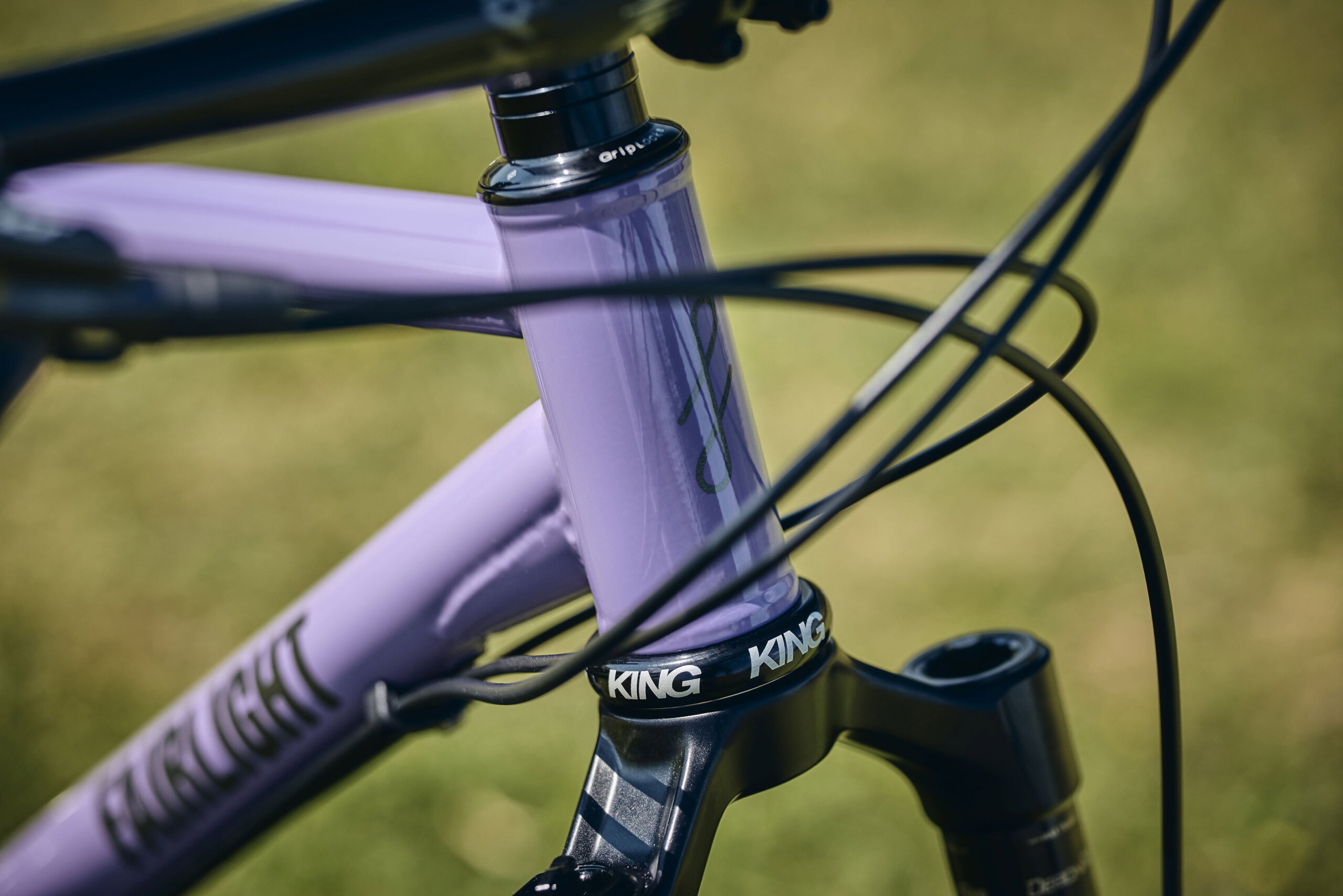 Holt 1.0 Large Violet