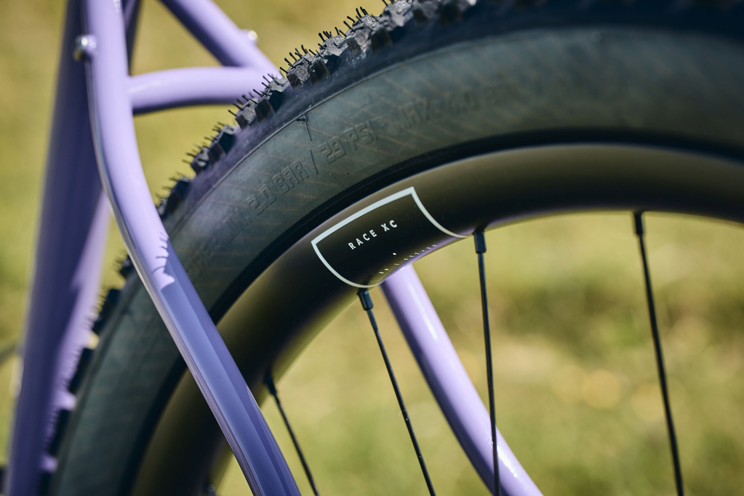 Holt 1.0 Large Violet