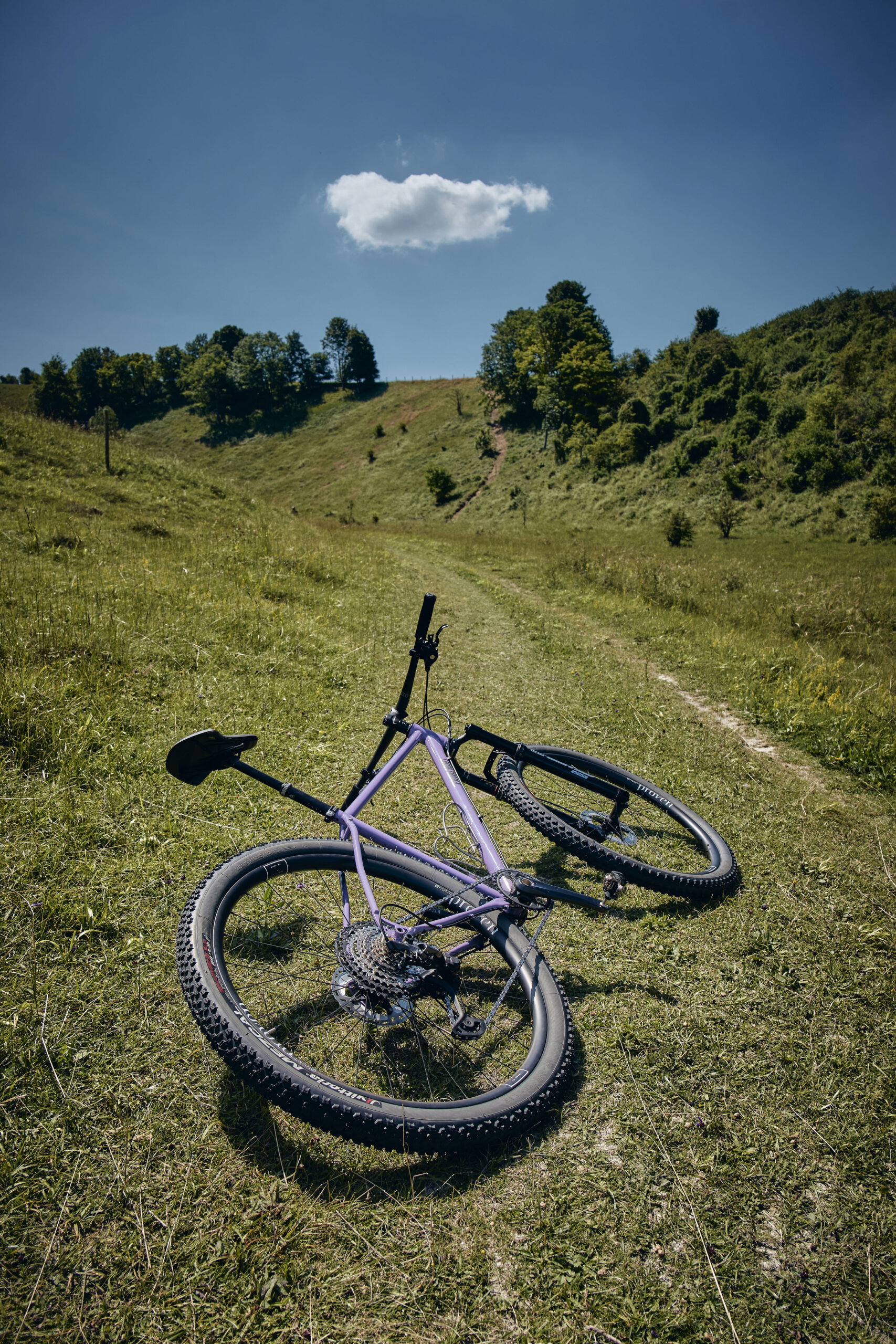 Holt 1.0 Large Violet