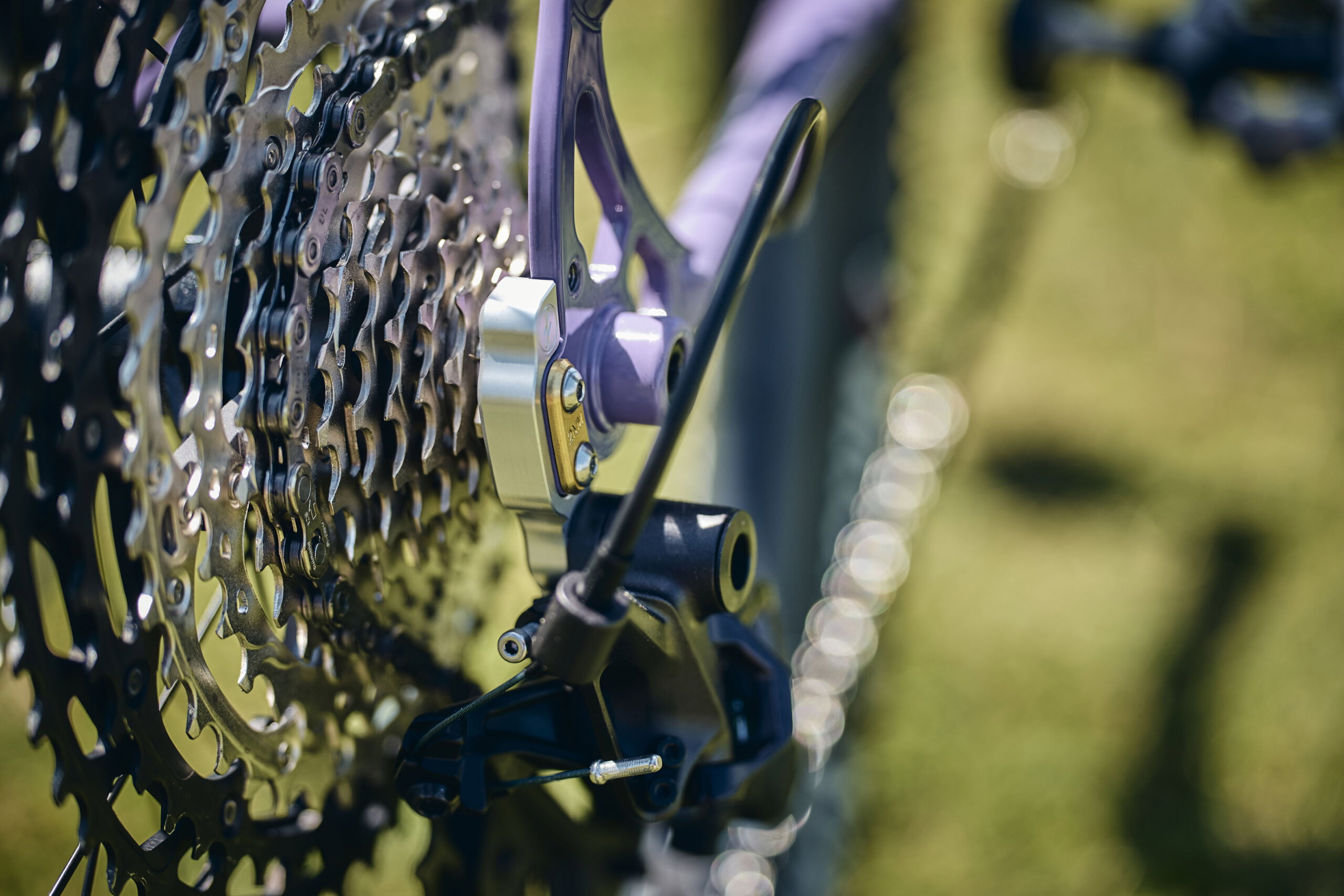 Holt 1.0 Large Violet