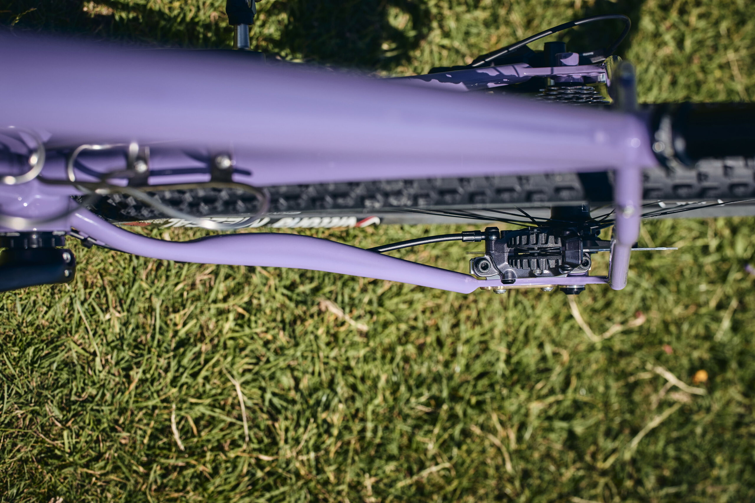 Holt 1.0 Large Violet