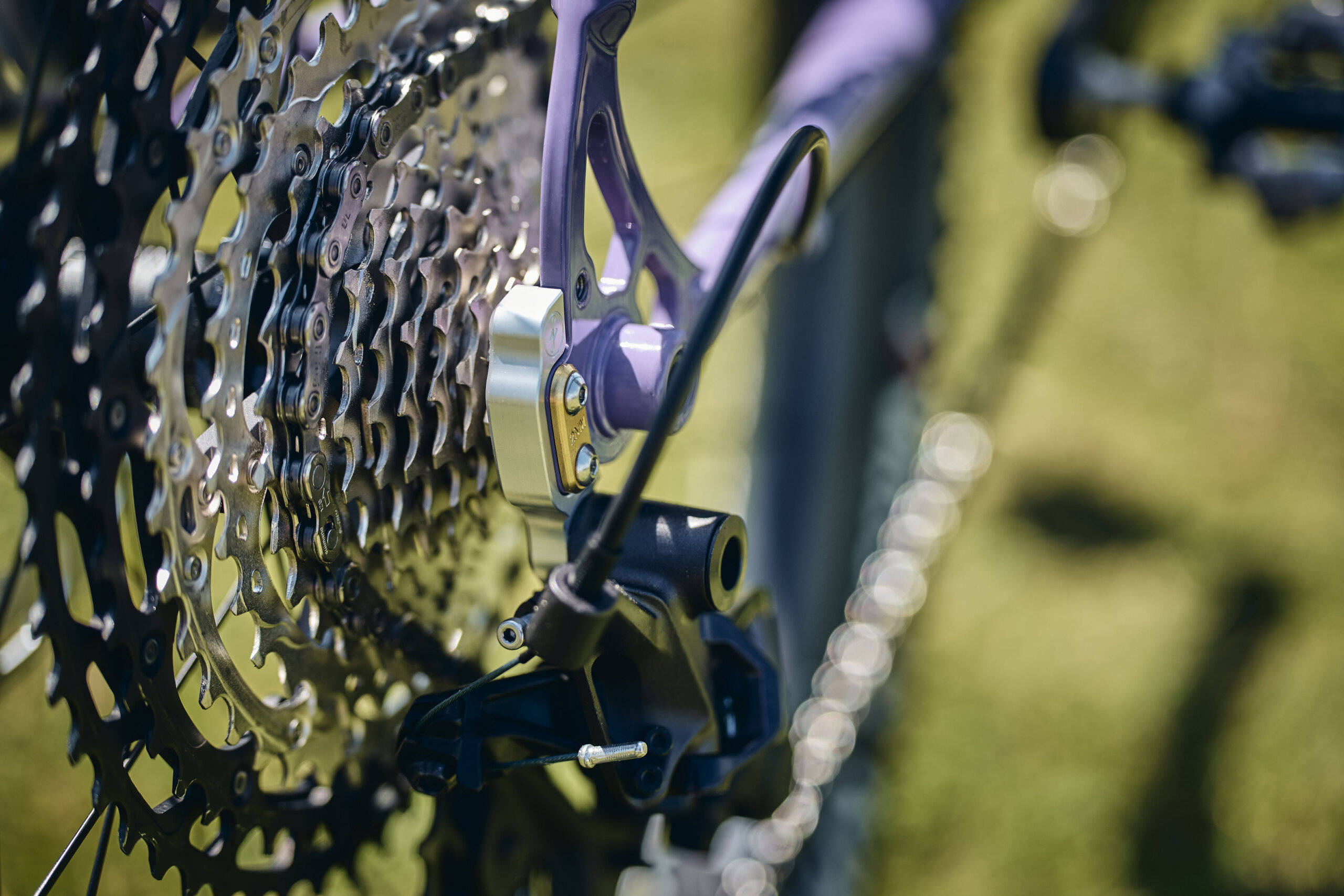 Holt 1.0 Large Violet