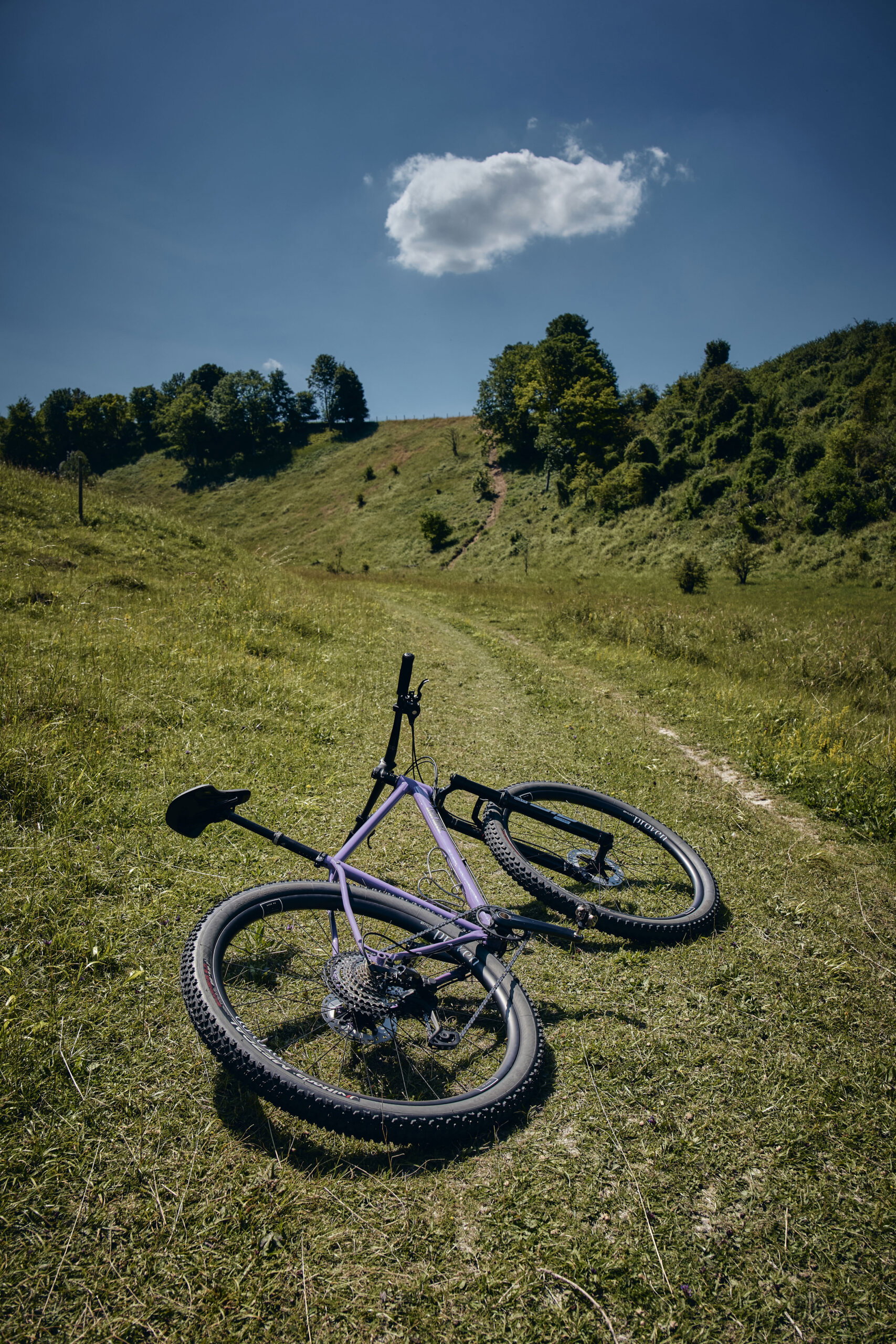 Holt 1.0 Large Violet