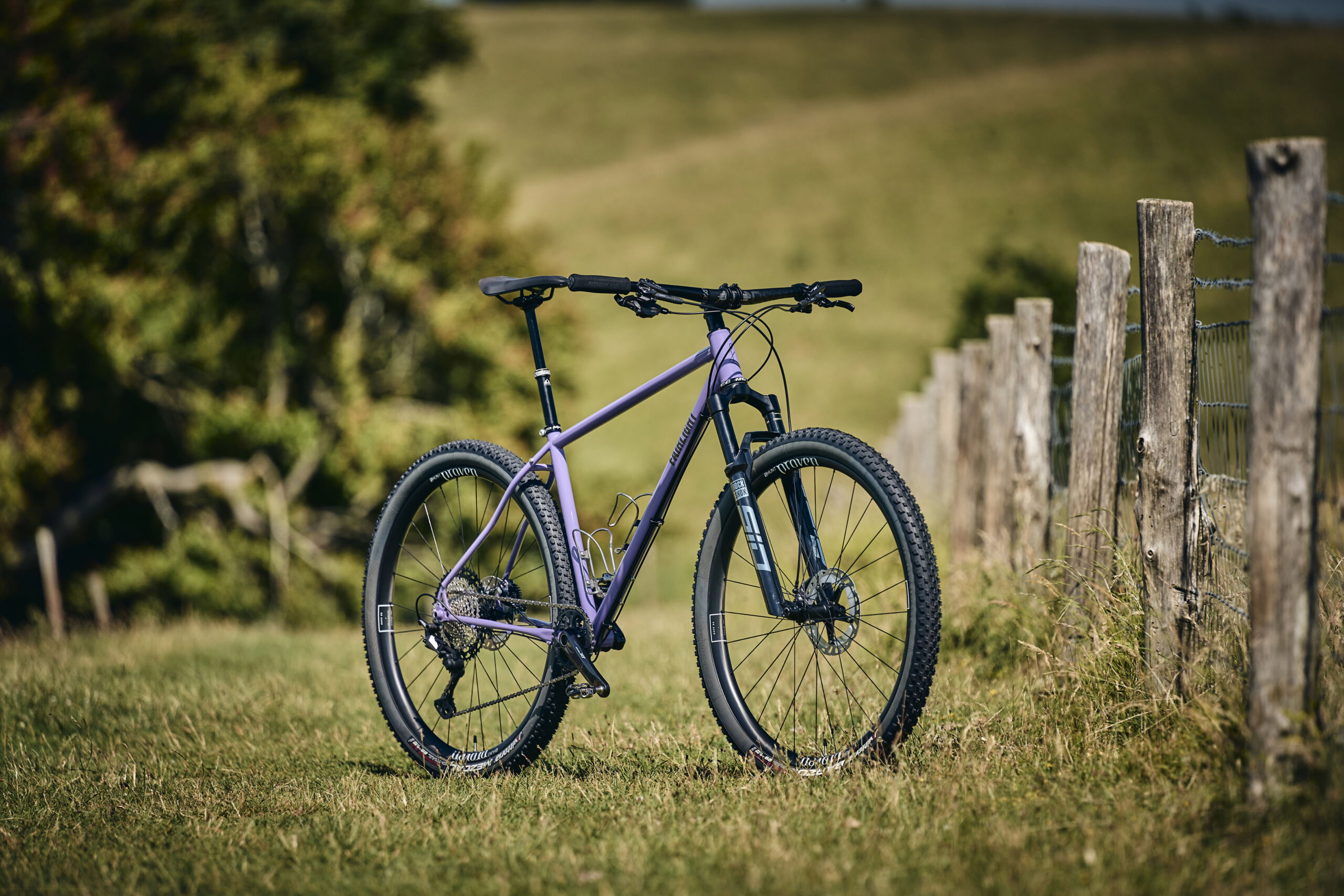 Holt 1.0 Large Violet