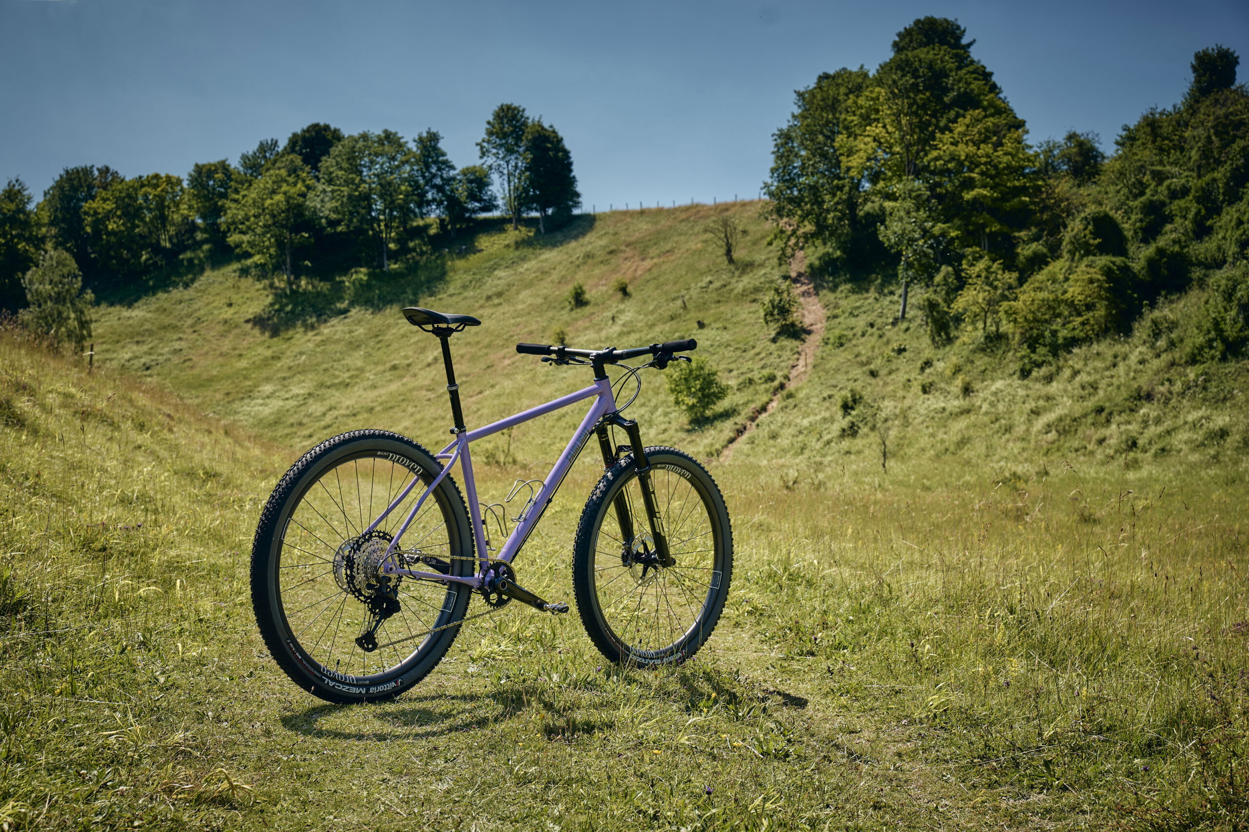 Holt 1.0 Large Violet