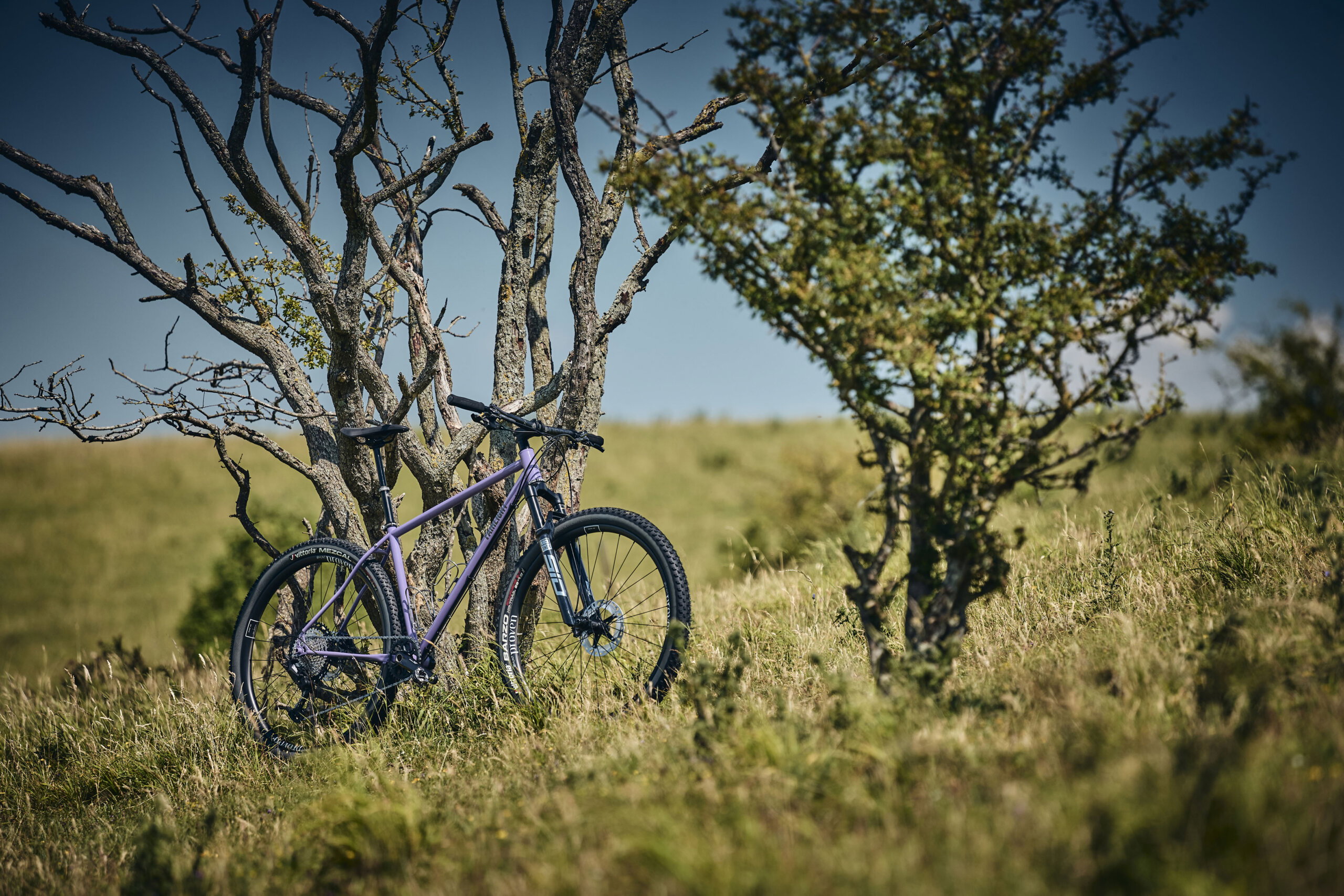 Holt 1.0 Large Violet