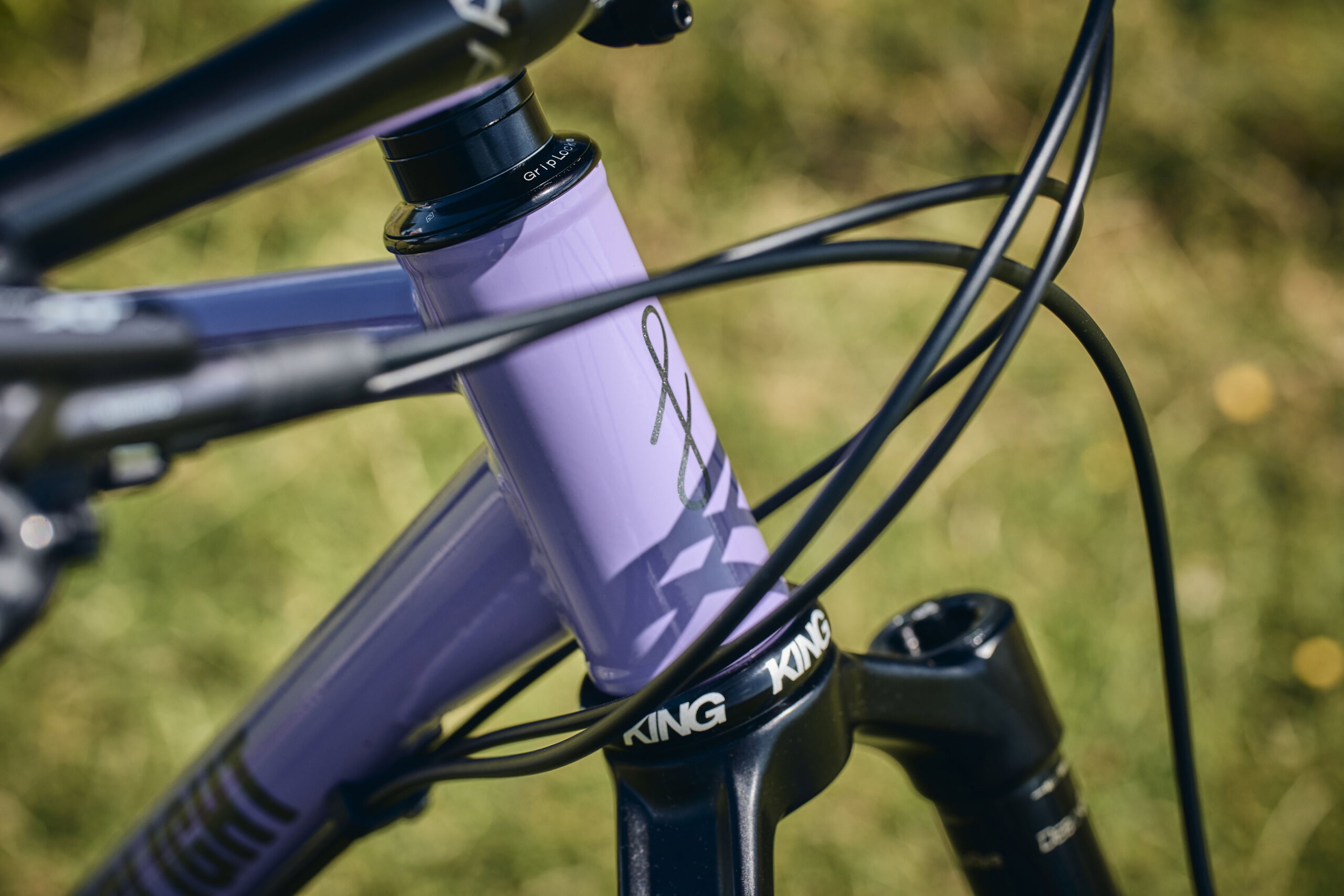 Holt 1.0 Large Violet