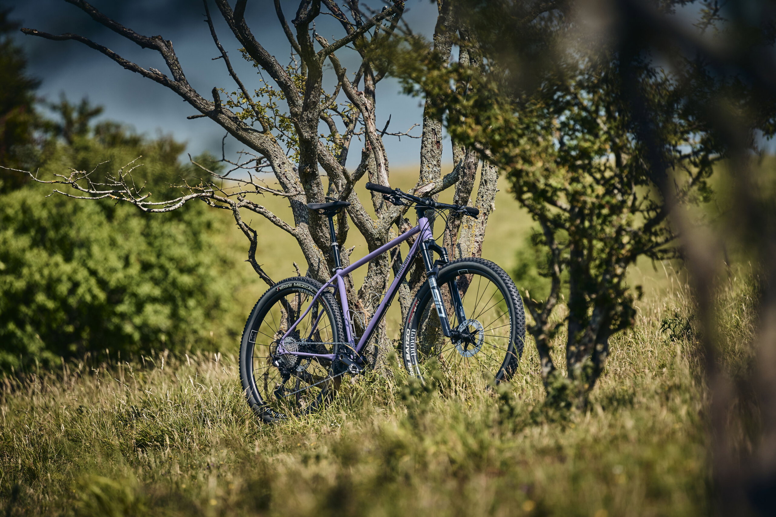 Holt 1.0 Large Violet