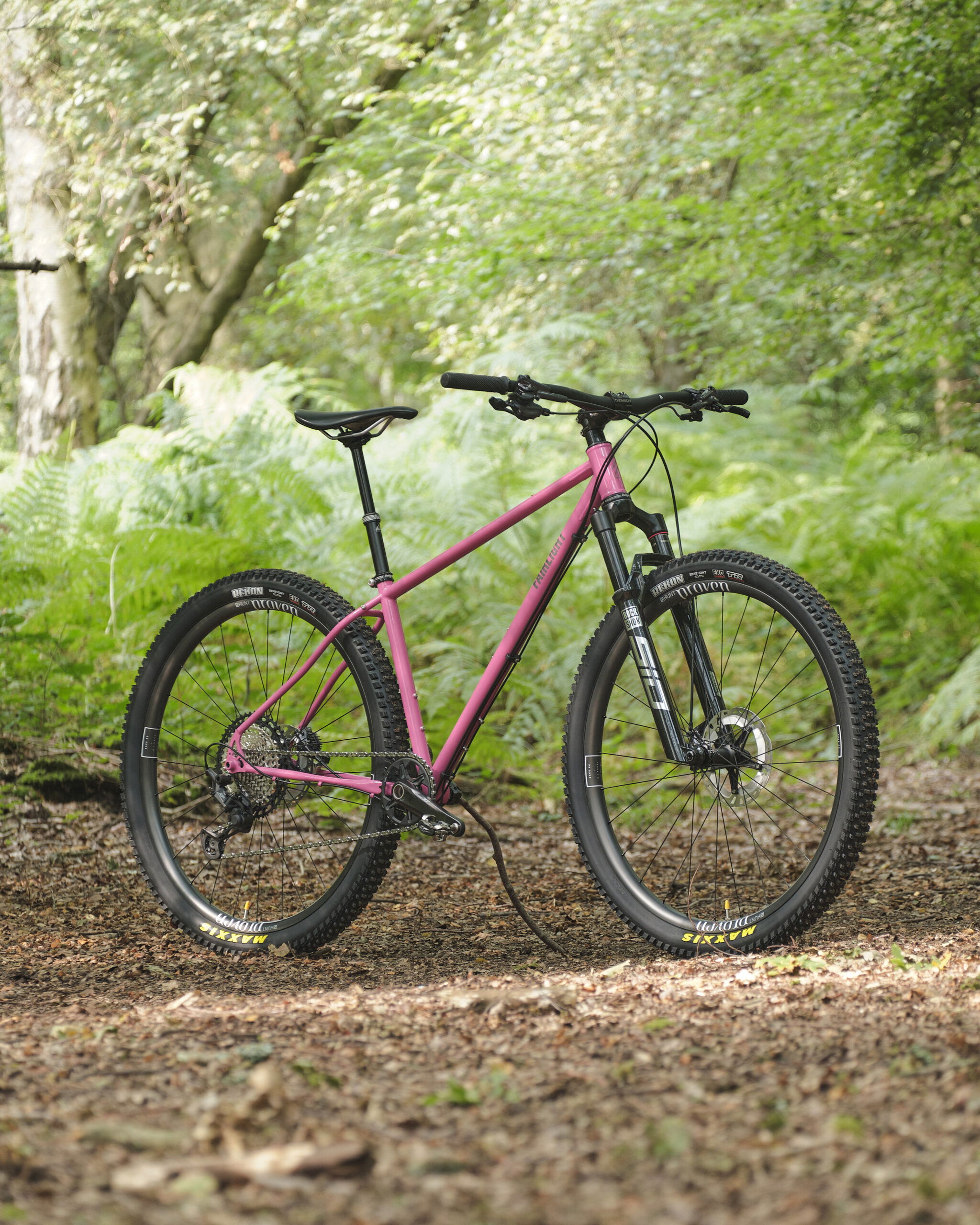 Holt 1.0 Medium Pink