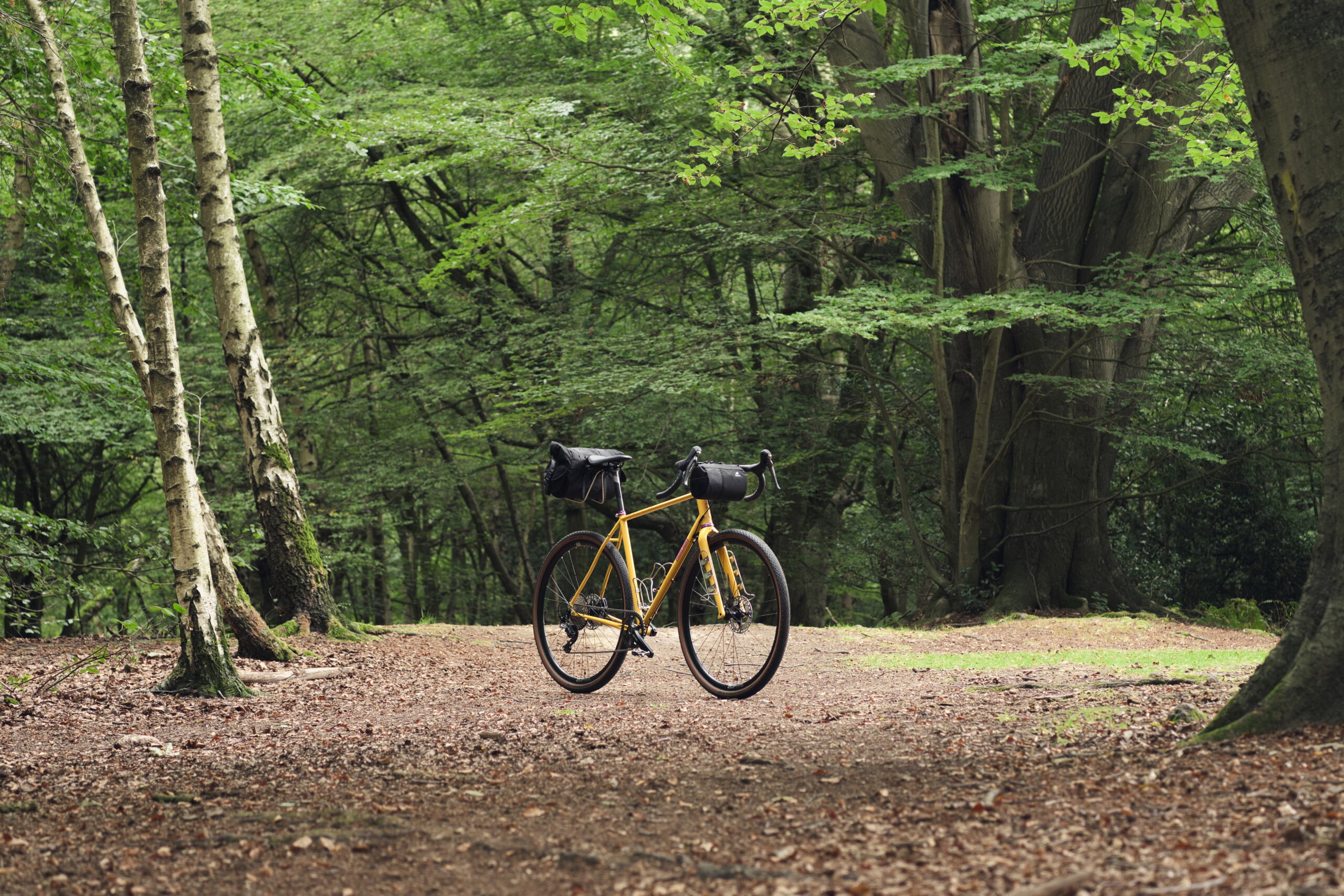 Secan 2.5 56T Yellow