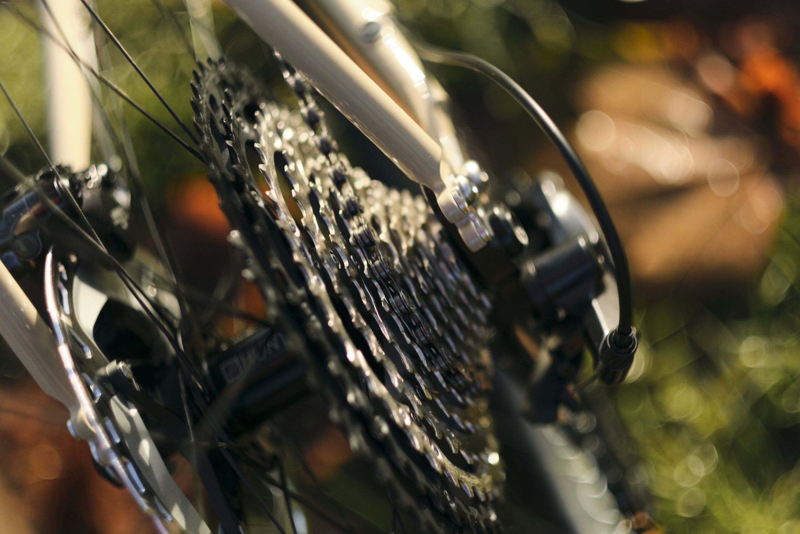 Secan 2.5 58R Desert