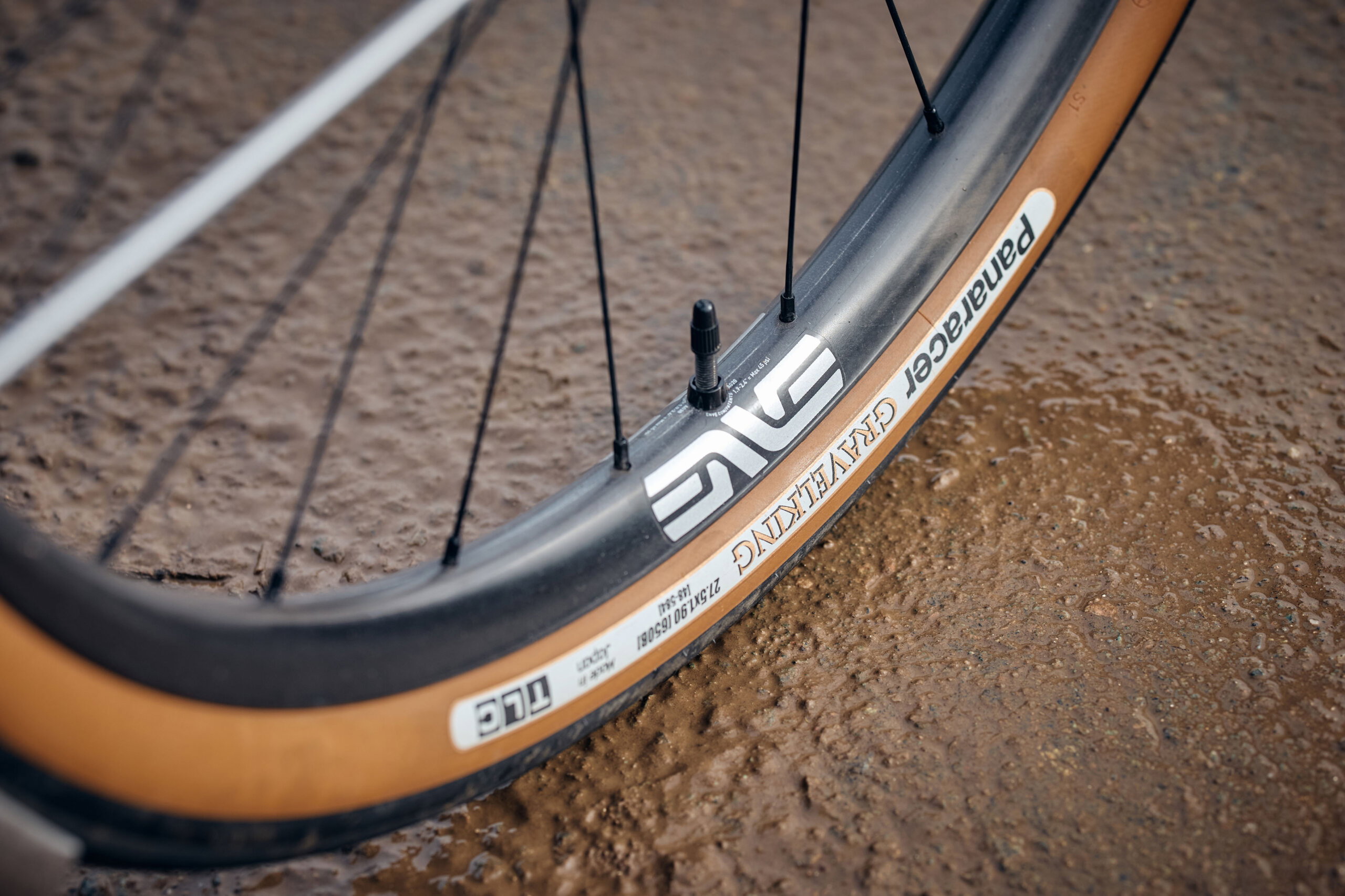 Faran 2.5 54T Winter Bracken