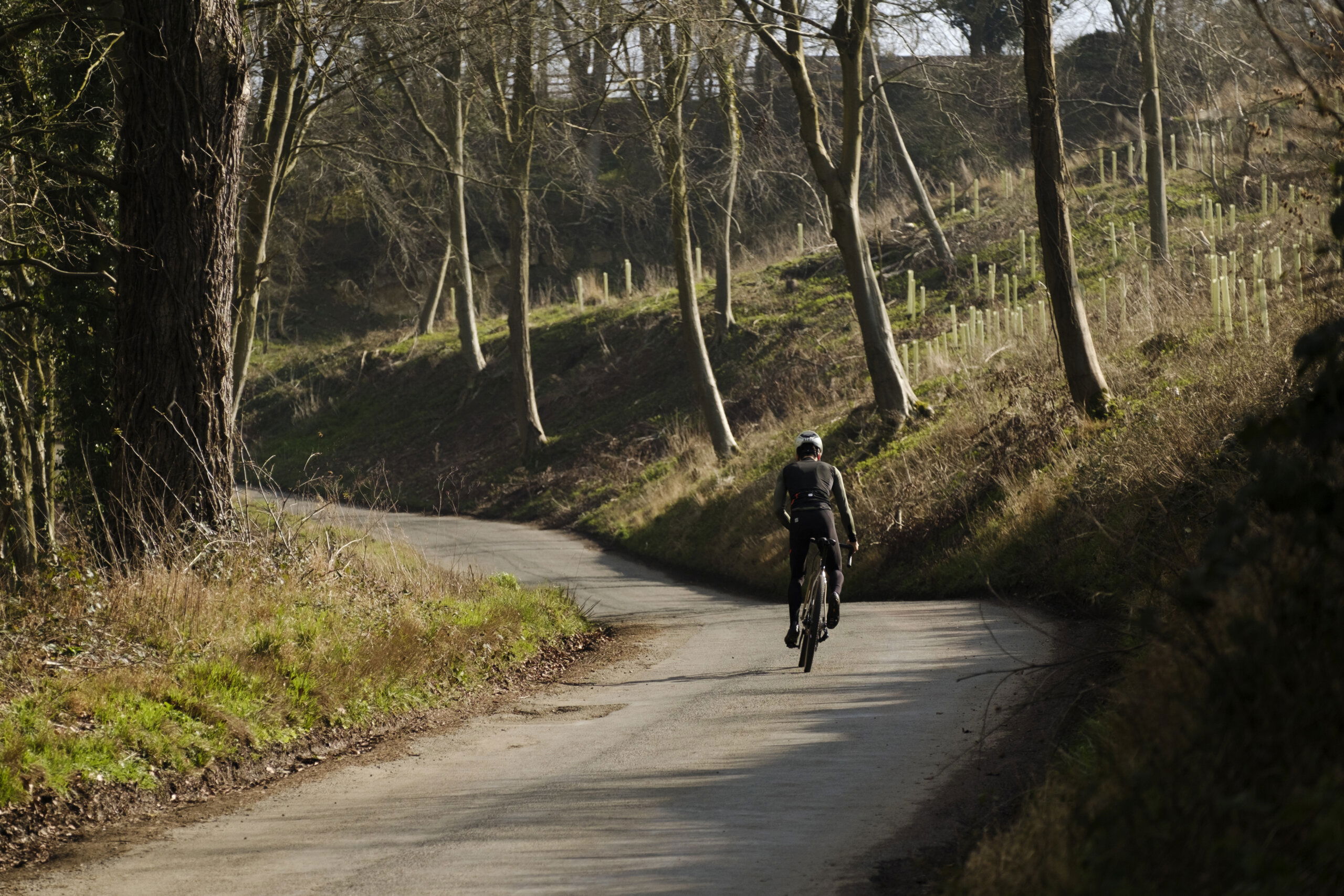 Secan 2.5 54R Desert