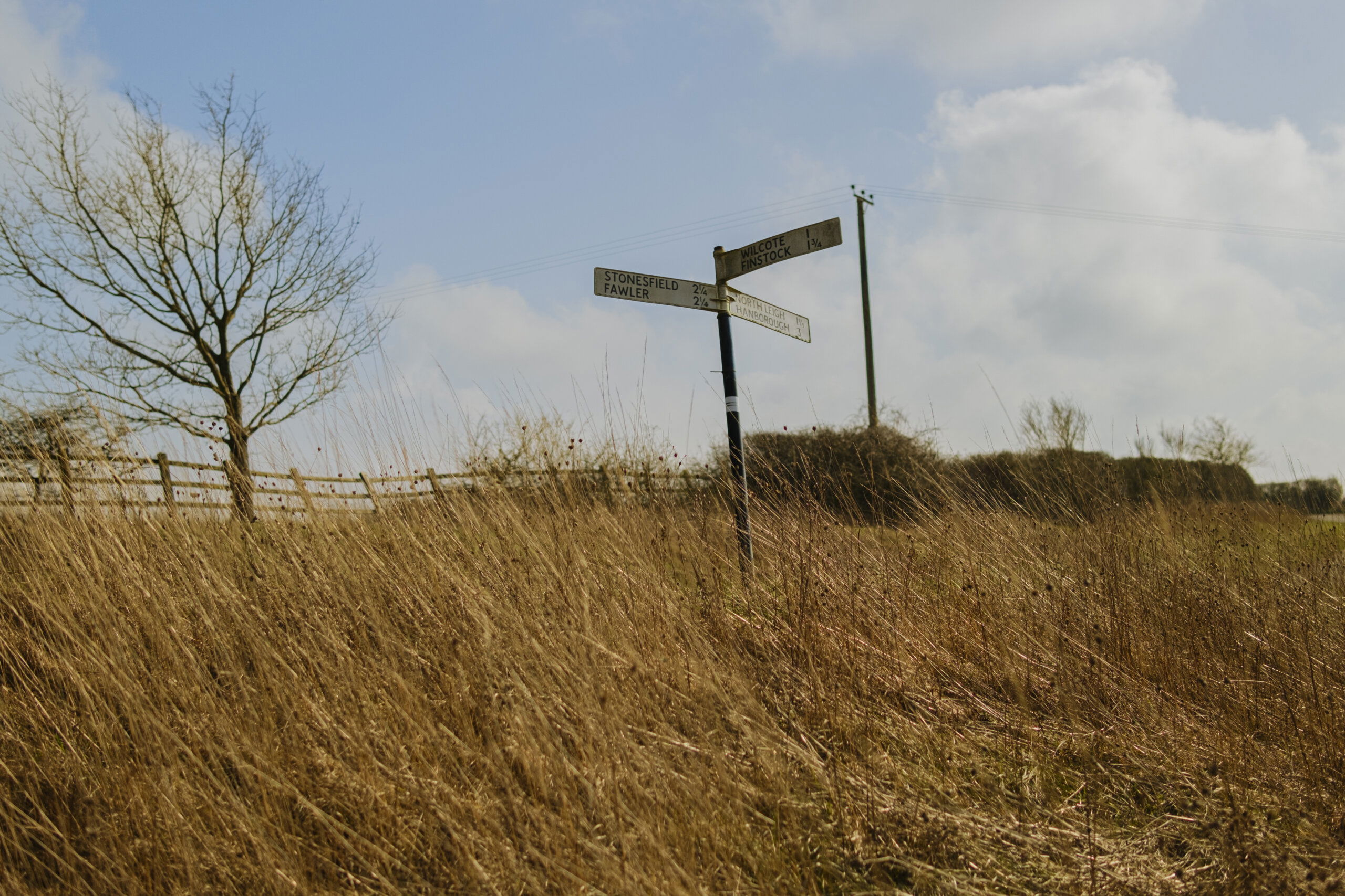 Secan 2.5 54R Desert