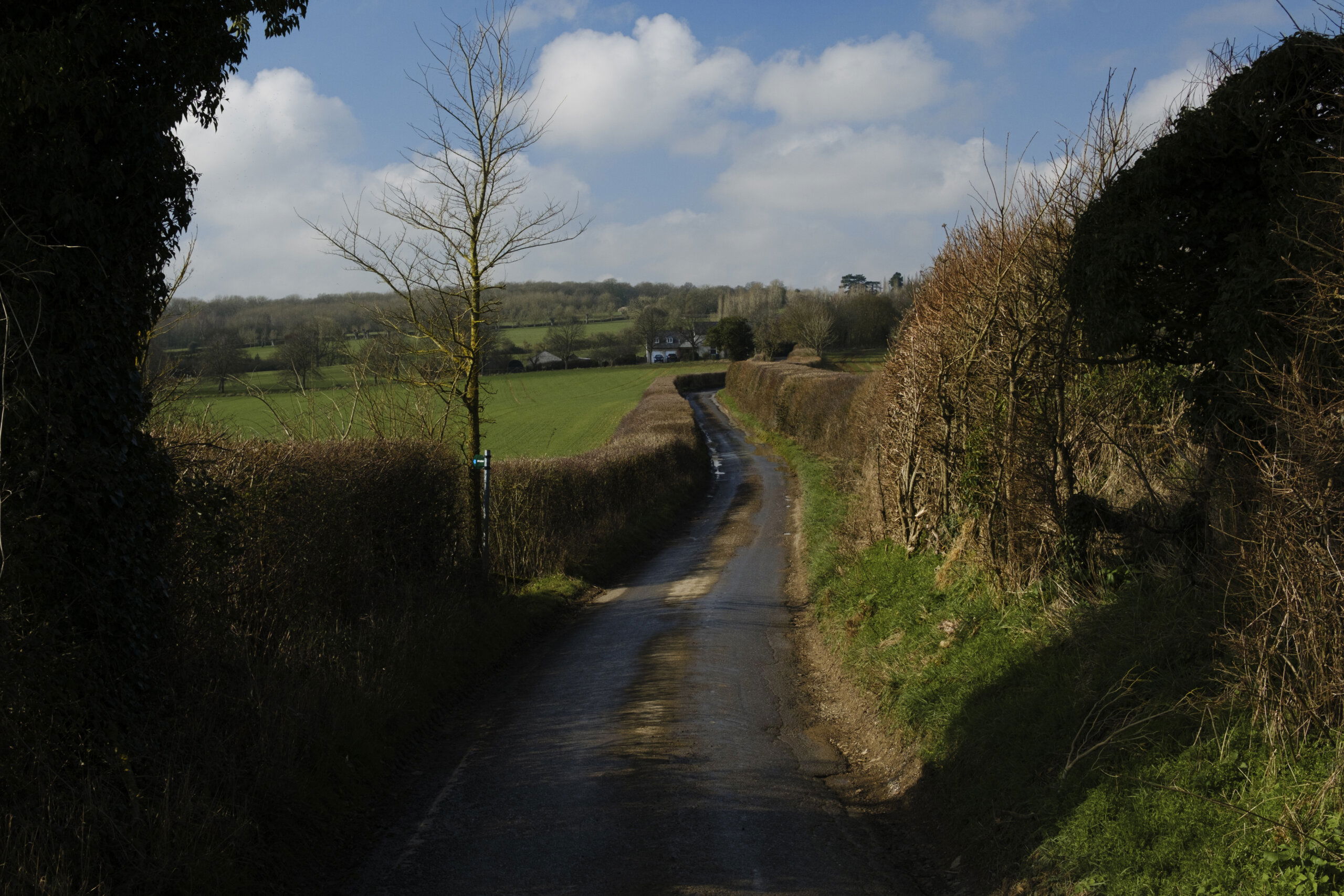 Secan 2.5 54R Desert