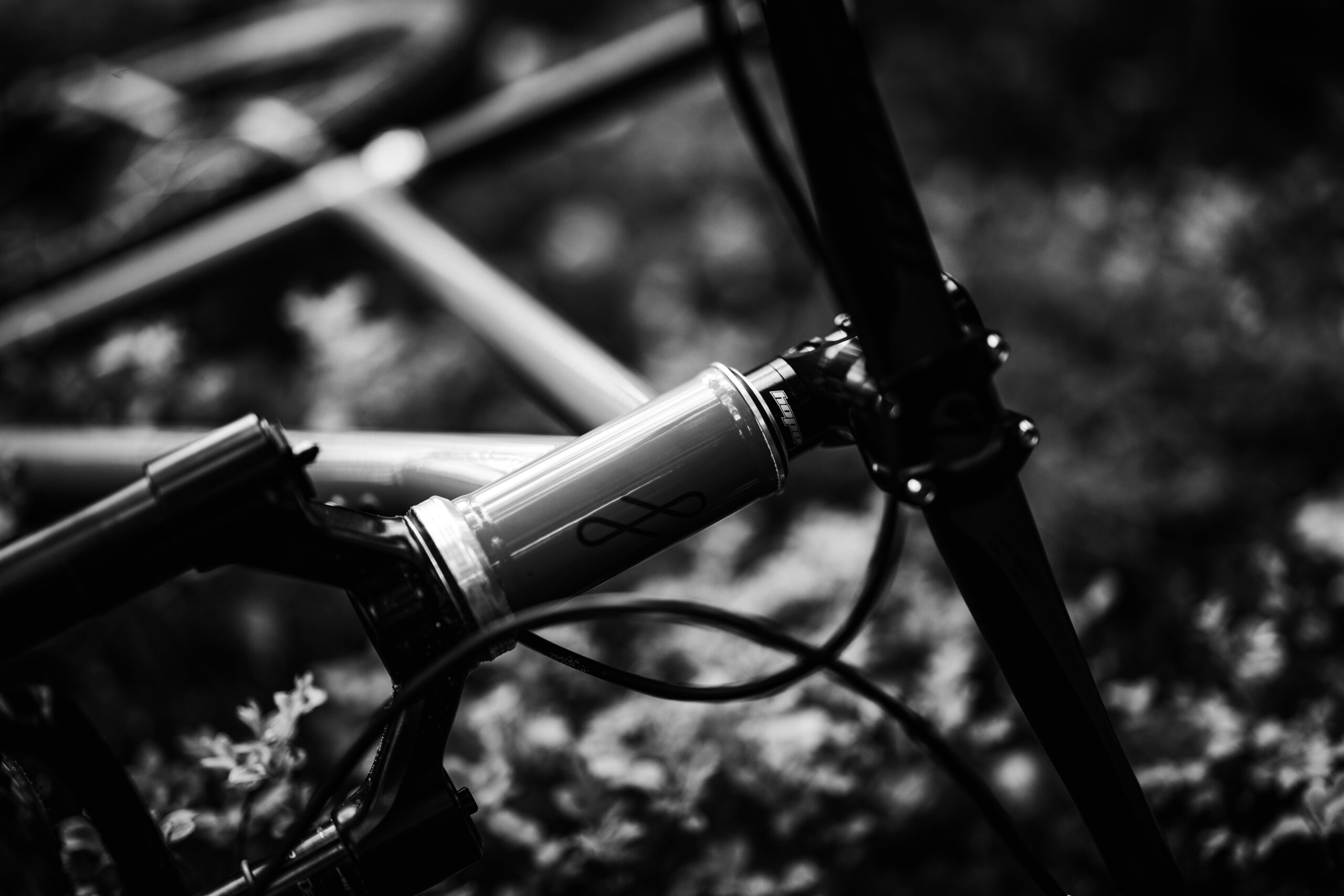 Holt 1.0 Medium Violet