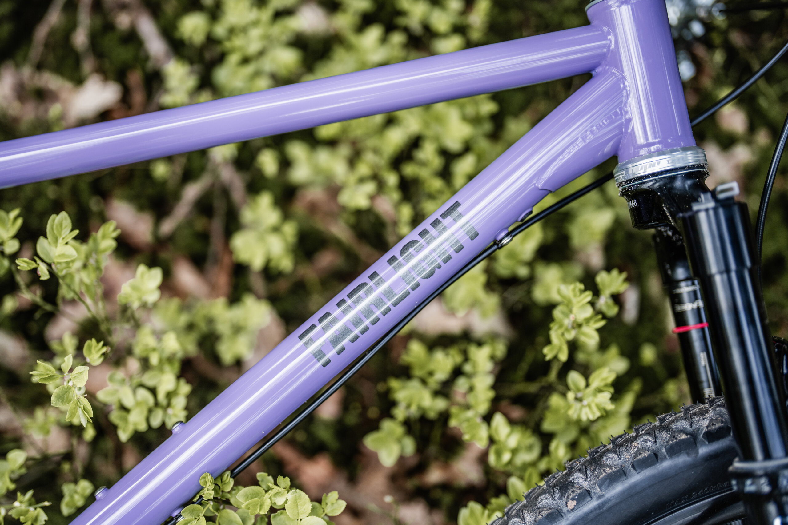 Holt 1.0 Medium Violet