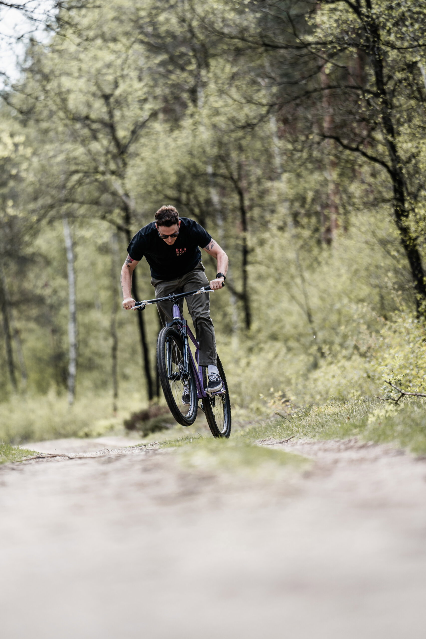 Holt 1.0 Medium Violet