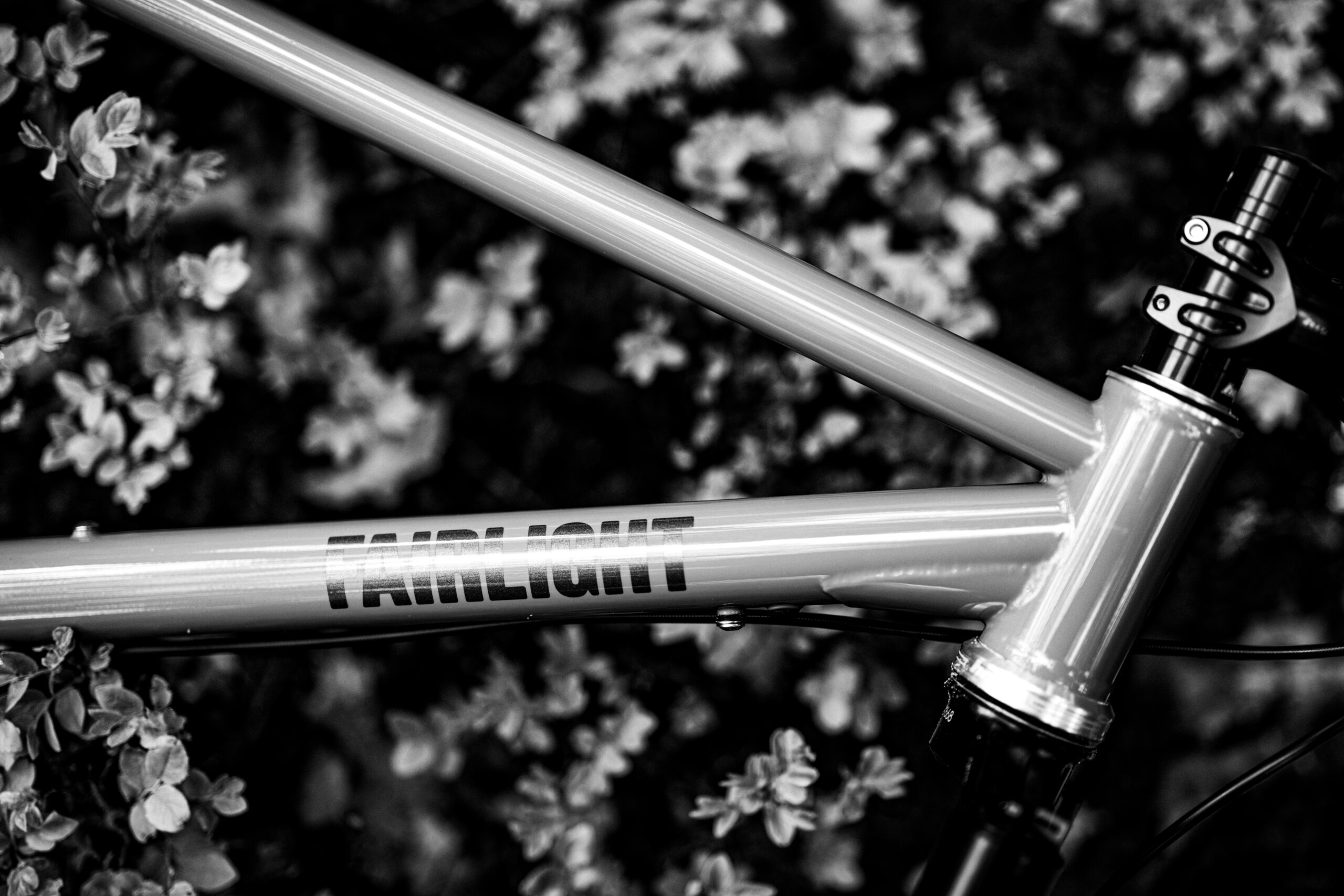 Holt 1.0 Medium Violet