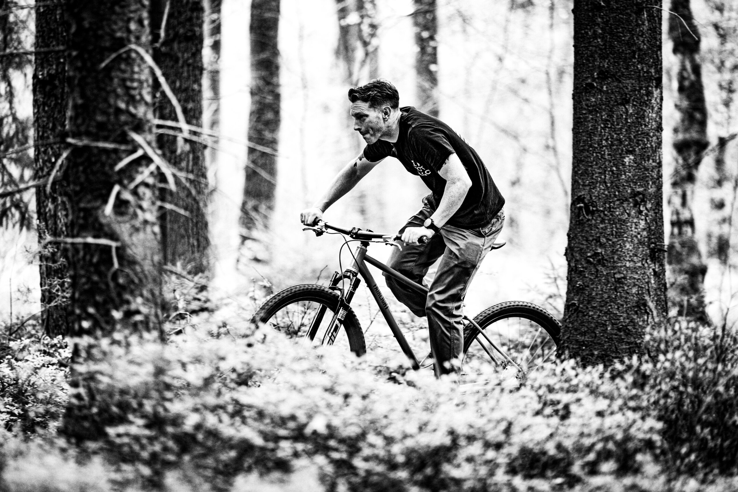 Holt 1.0 Medium Violet