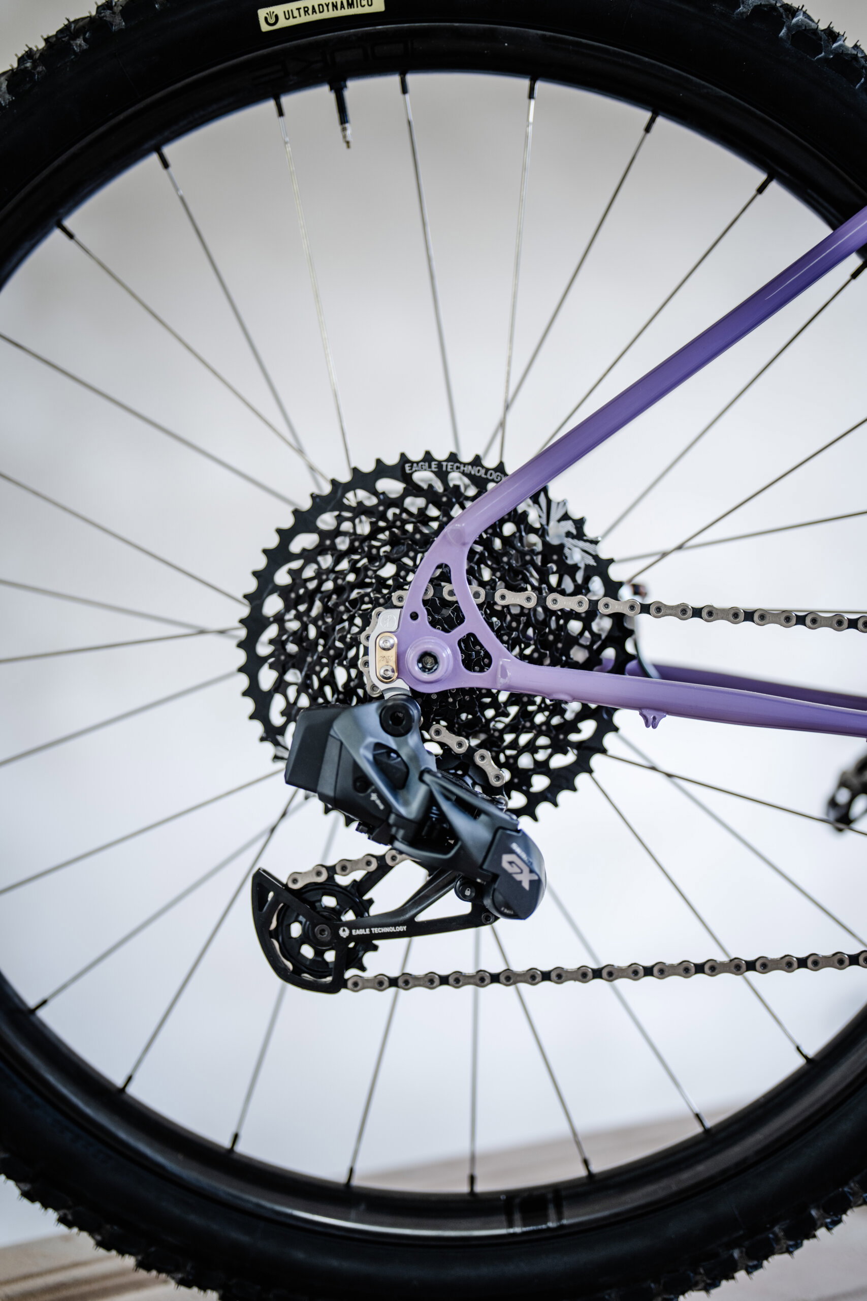 Holt 1.0 Medium Violet