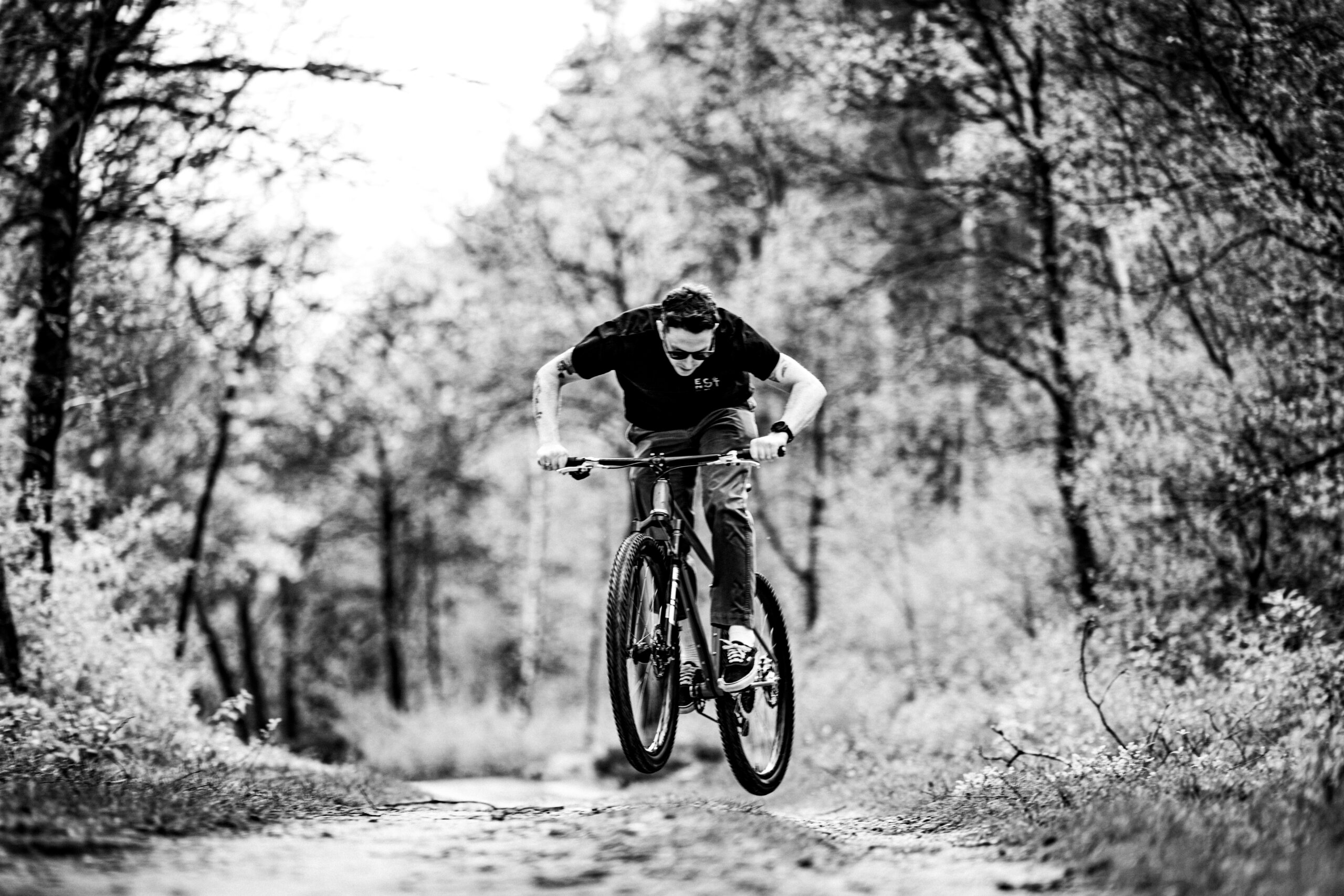 Holt 1.0 Medium Violet