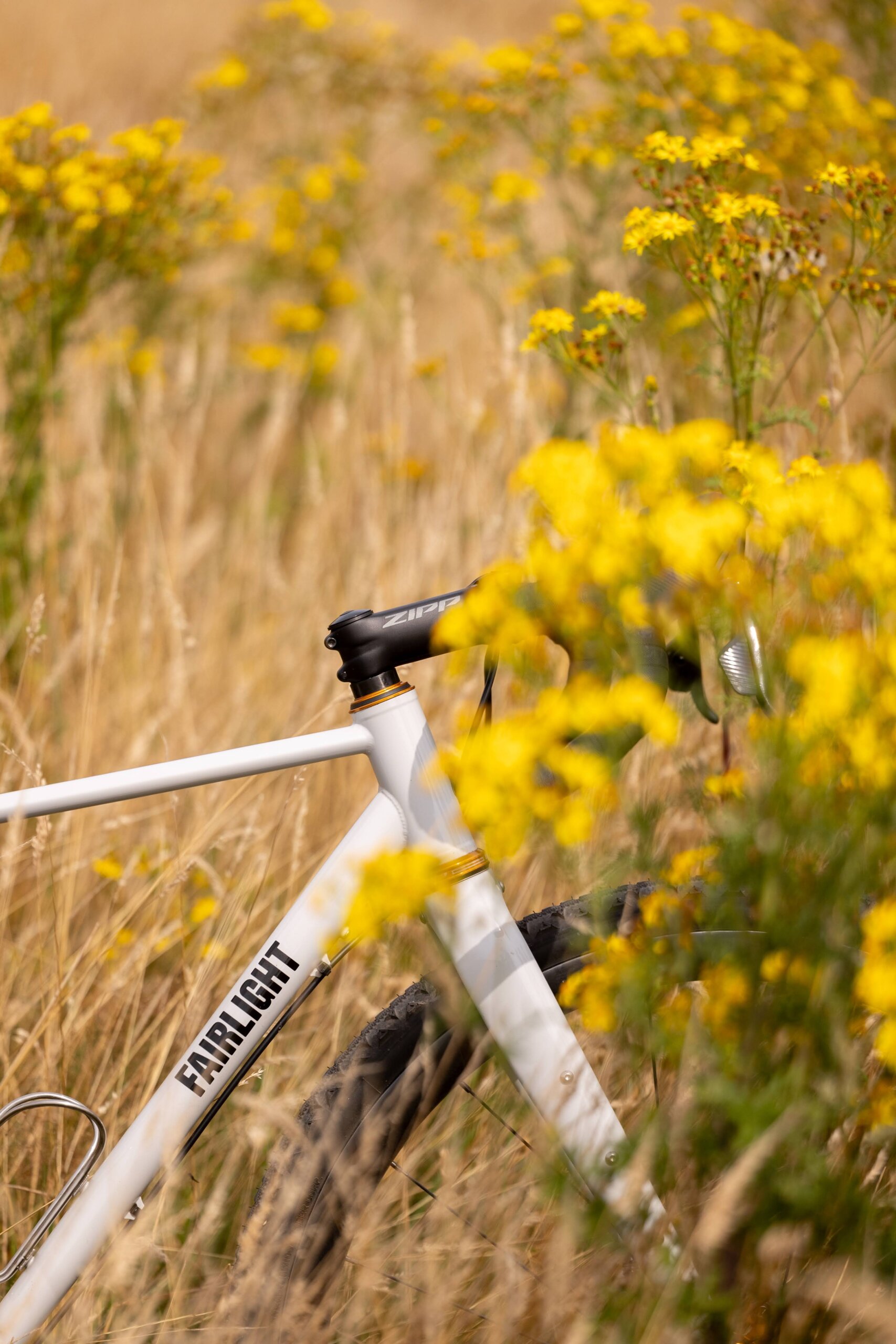 Secan 2.5 54R Monochrome