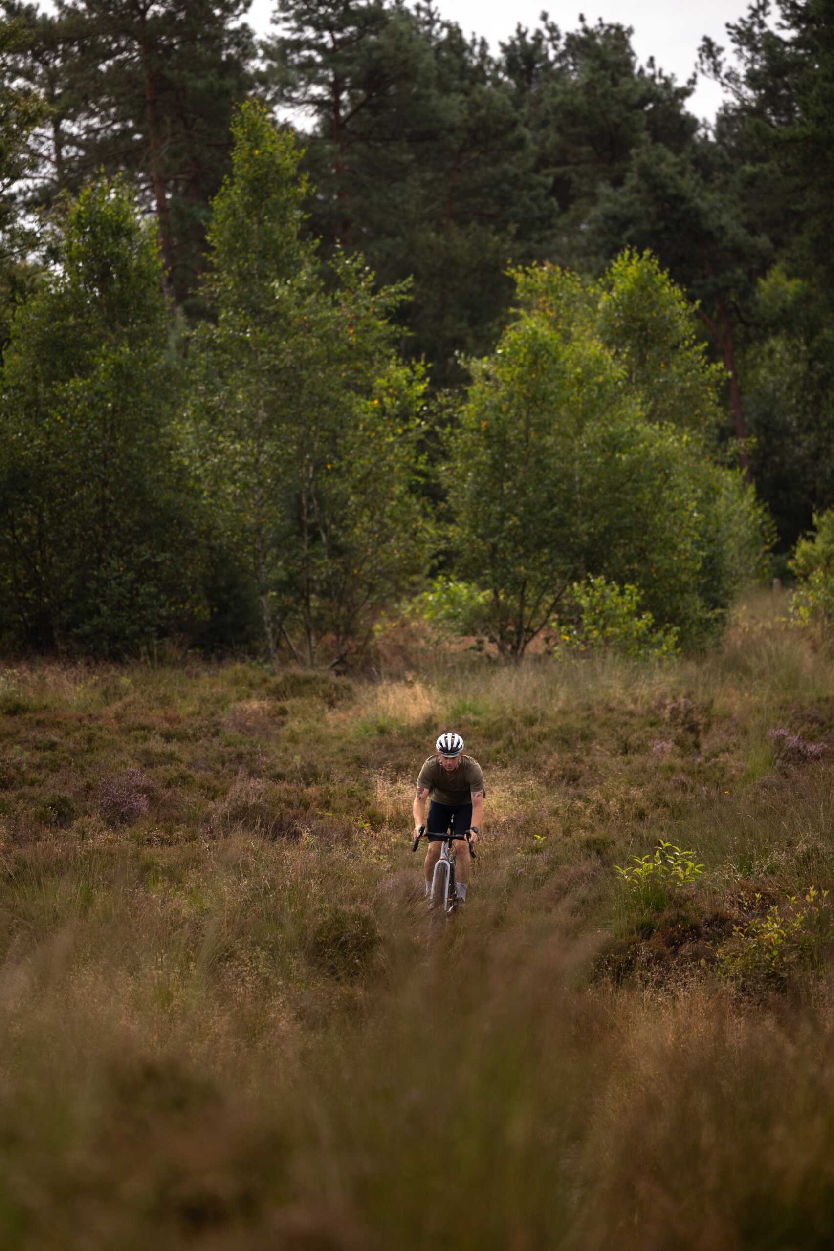 Secan 2.5 54R Monochrome