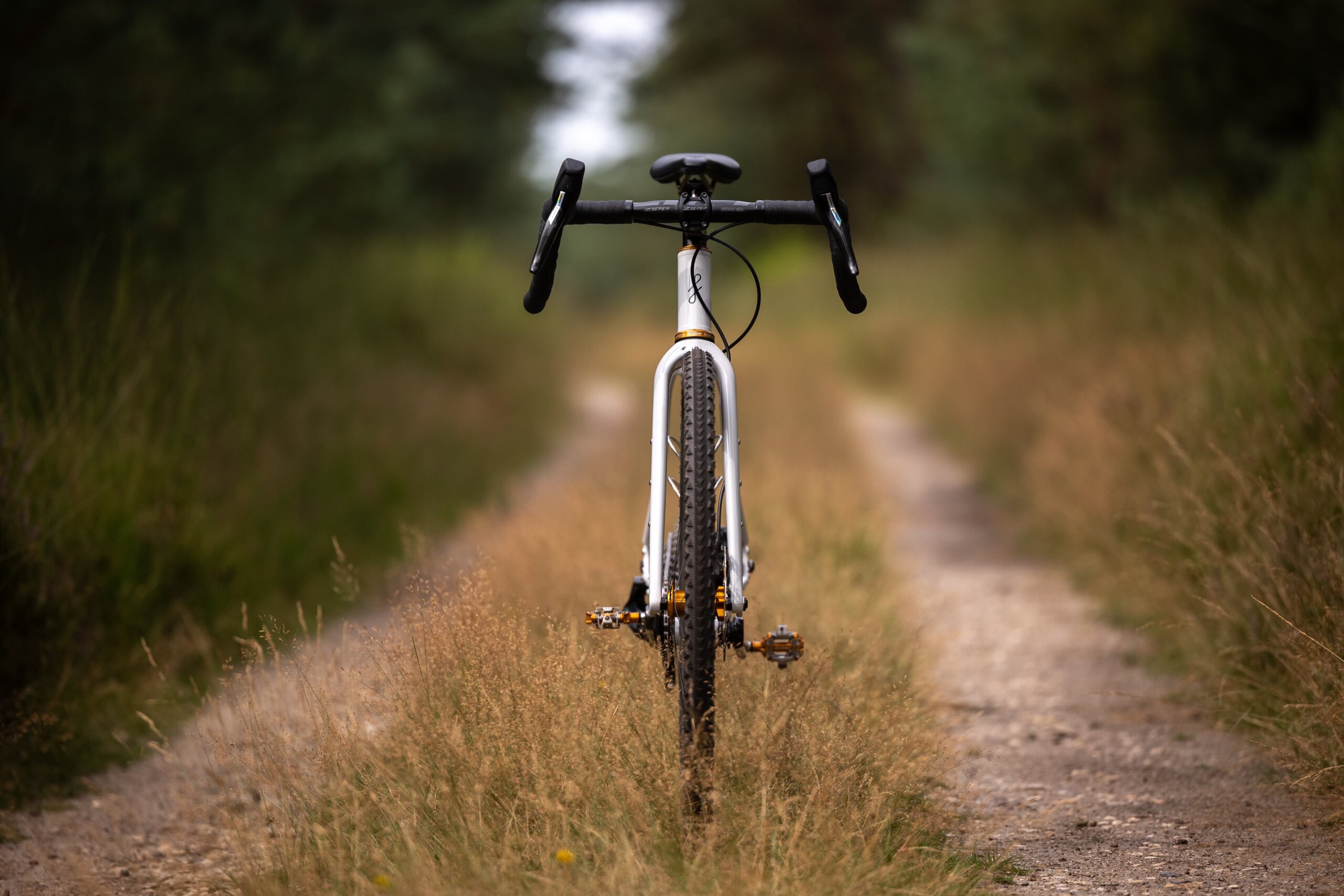 Secan 2.5 54R Monochrome