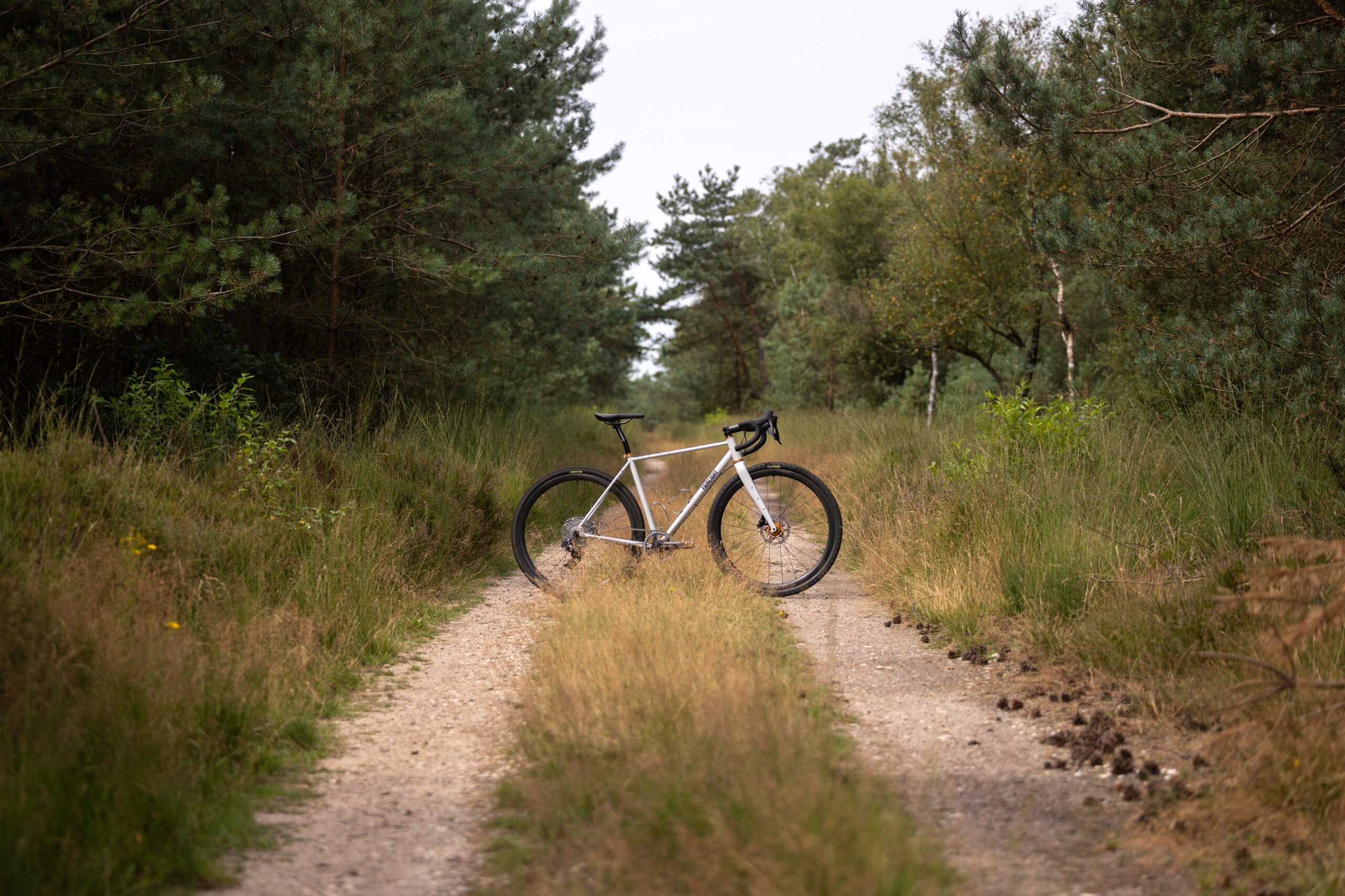 Secan 2.5 54R Monochrome