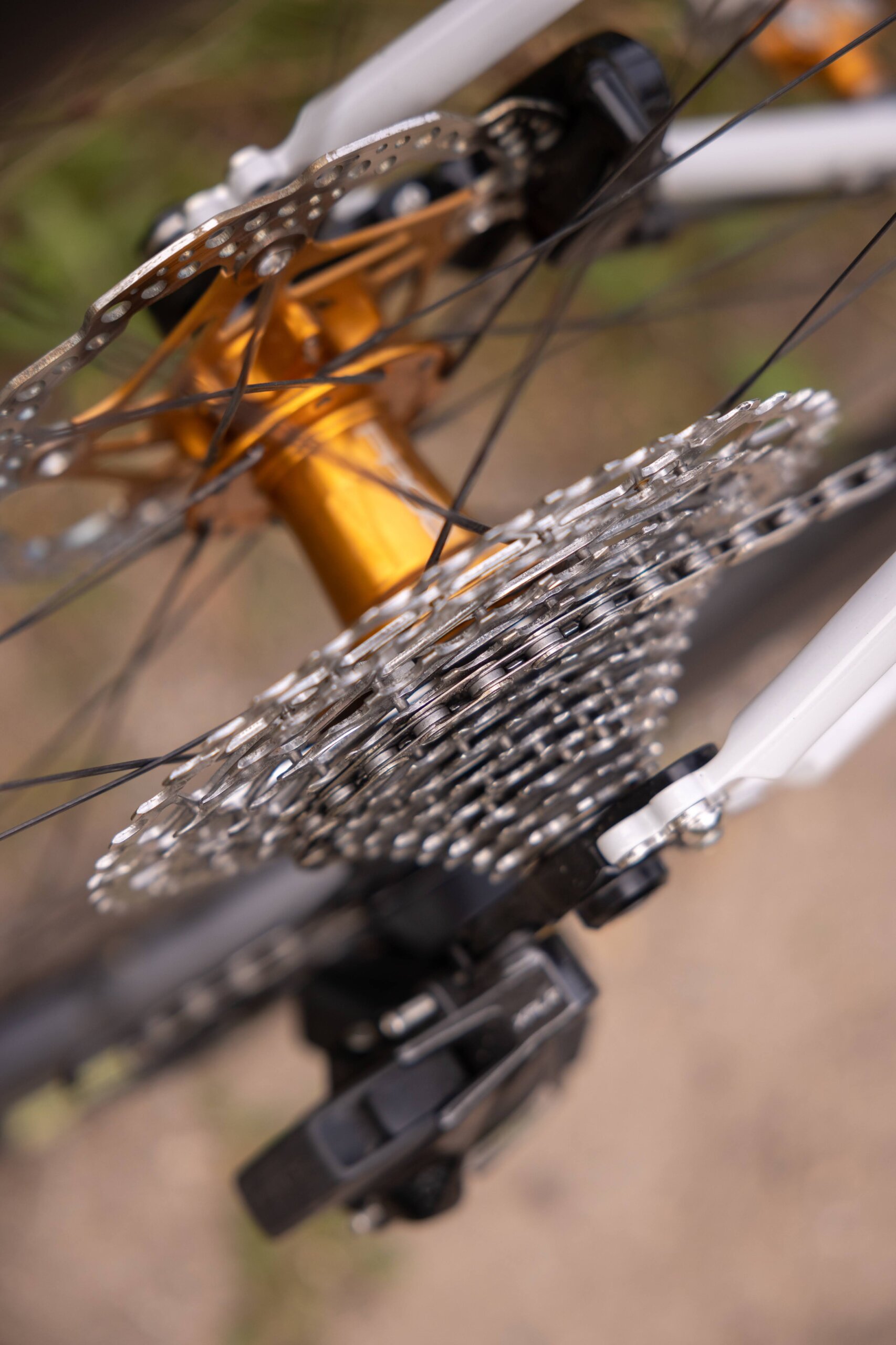 Secan 2.5 54R Monochrome