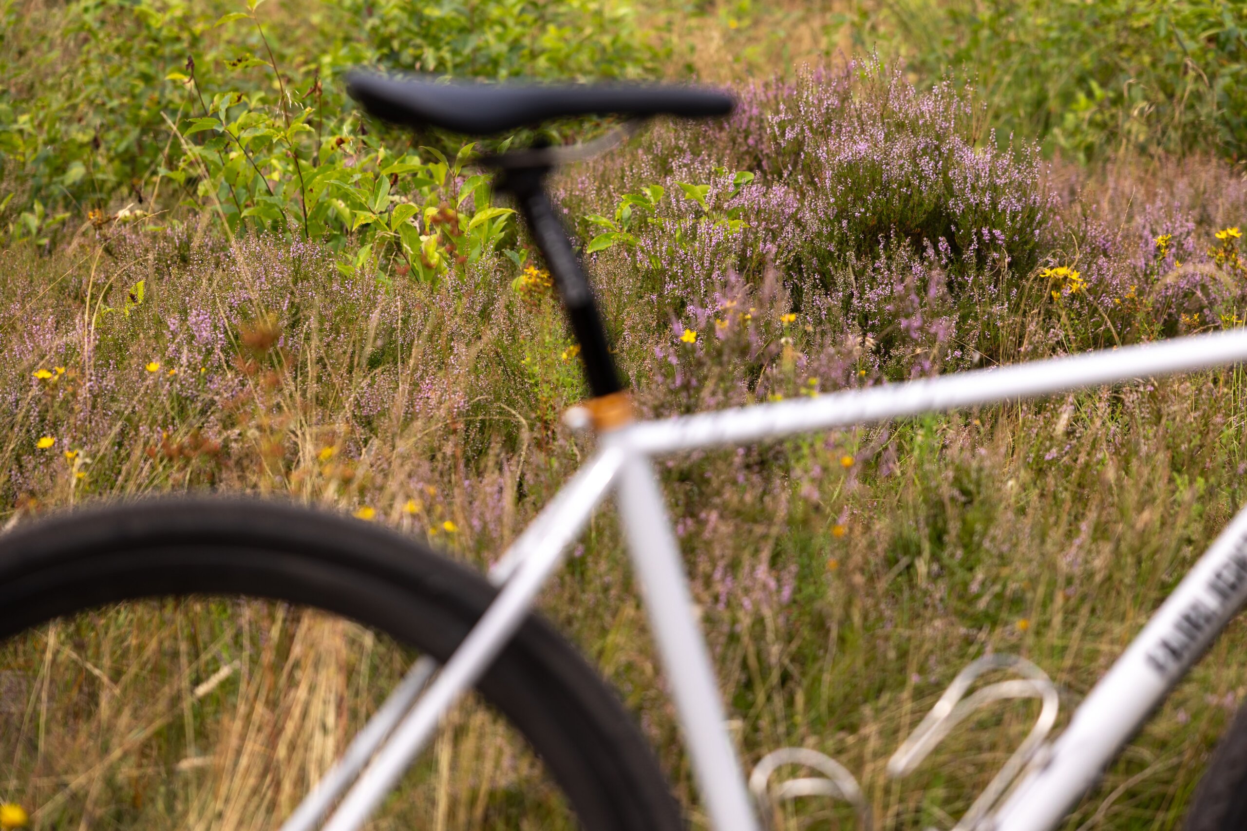 Secan 2.5 54R Monochrome