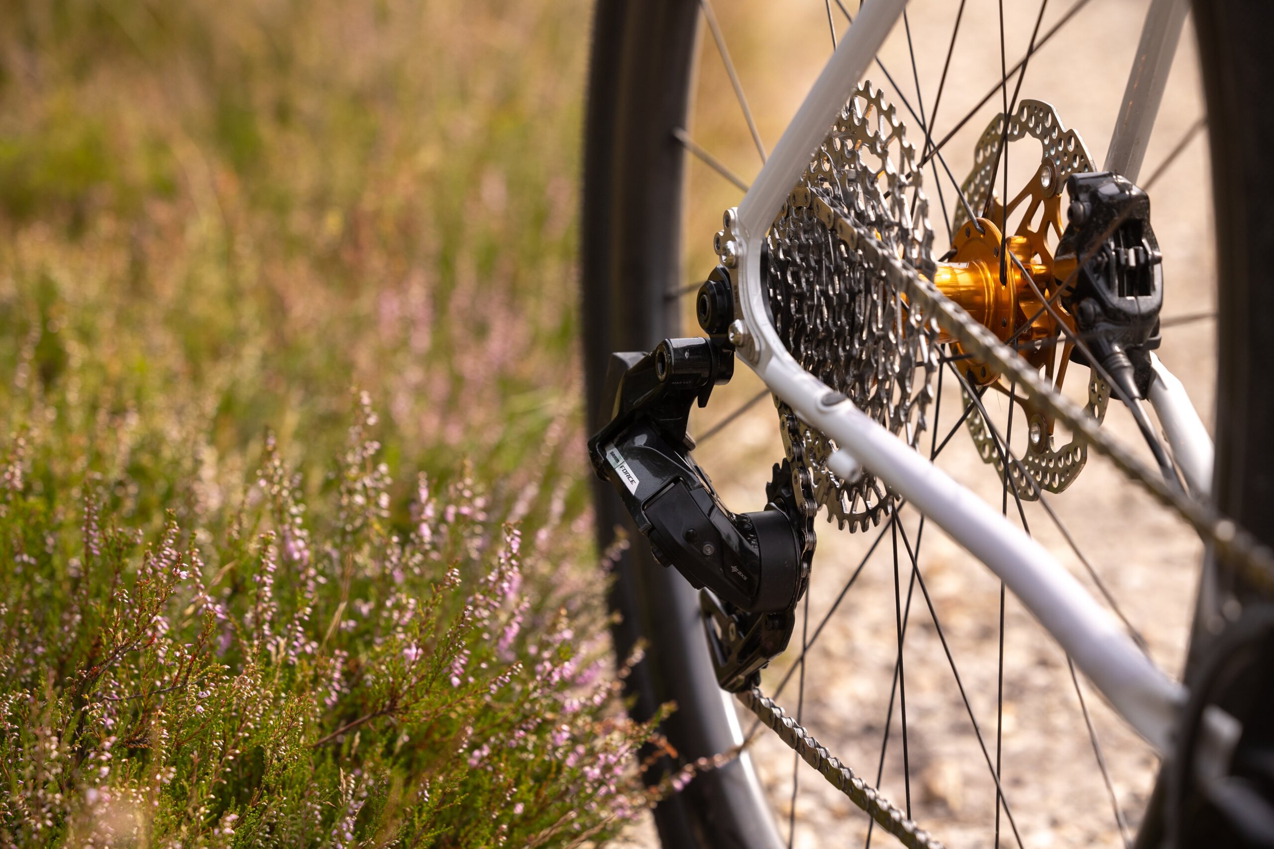 Secan 2.5 54R Monochrome