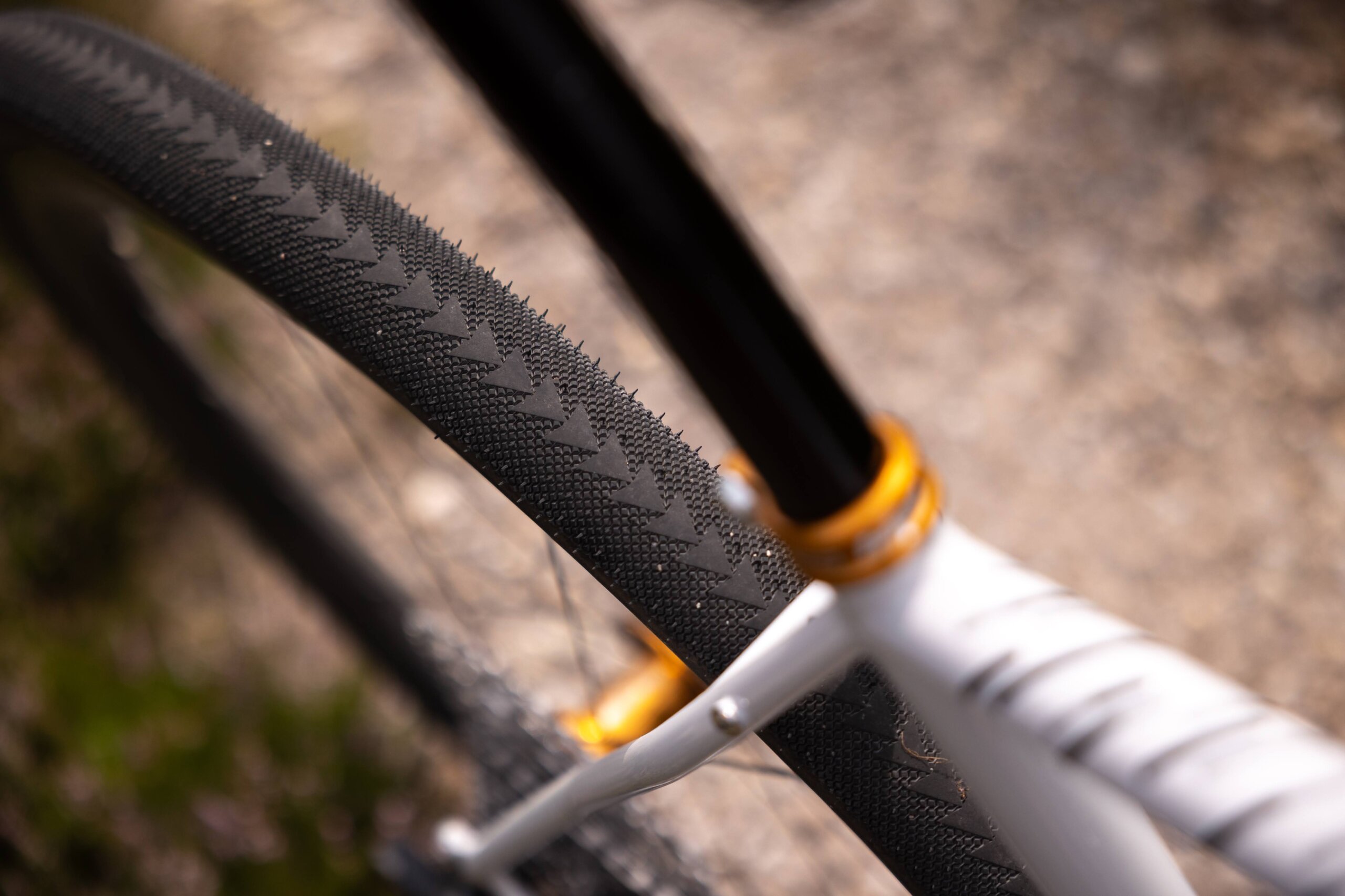 Secan 2.5 54R Monochrome