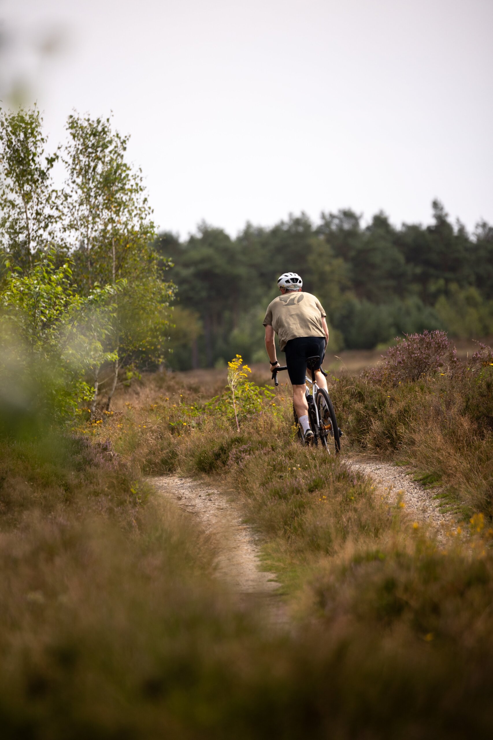 Secan 2.5 54R Monochrome