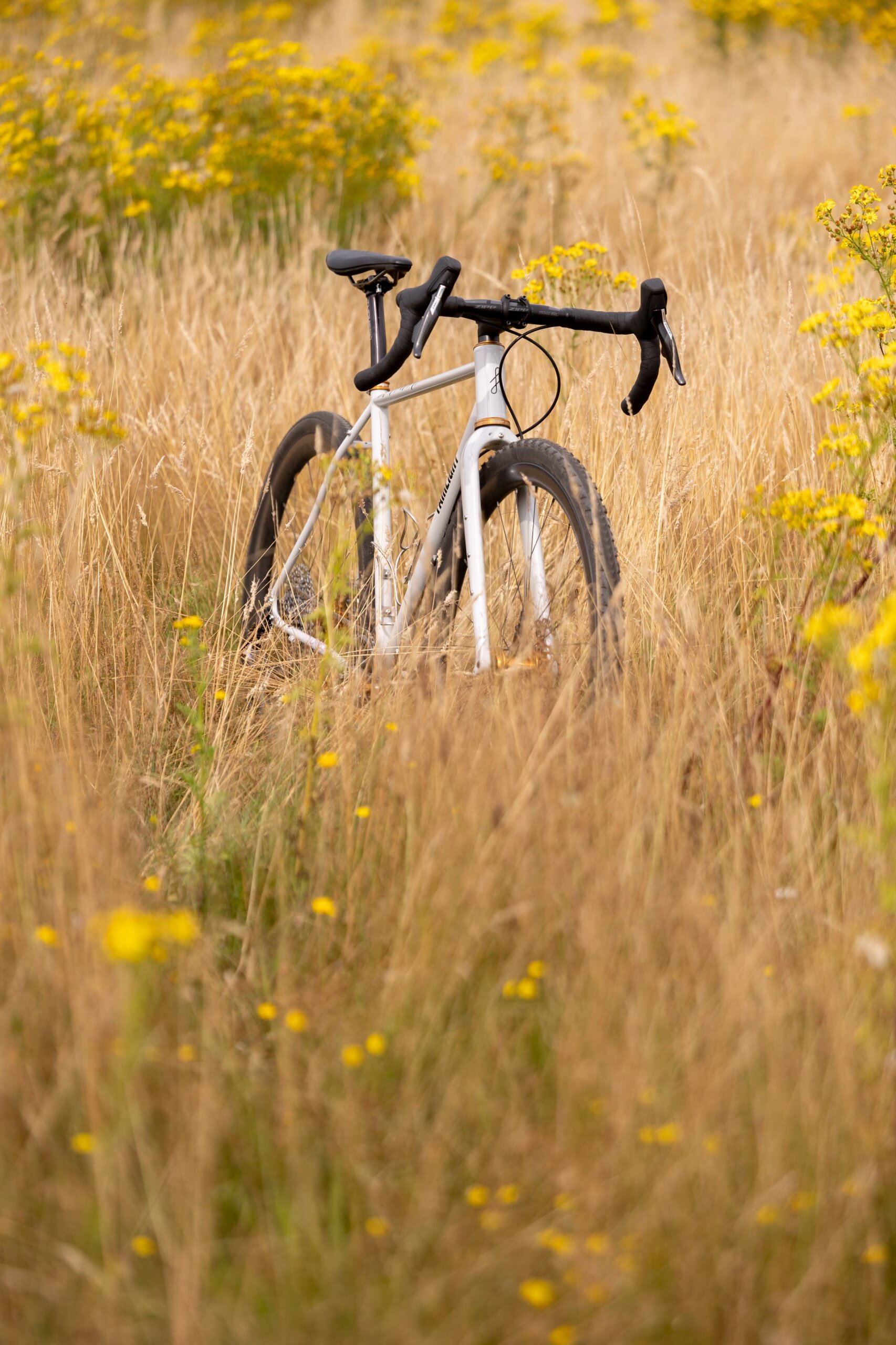 Secan 2.5 54R Monochrome