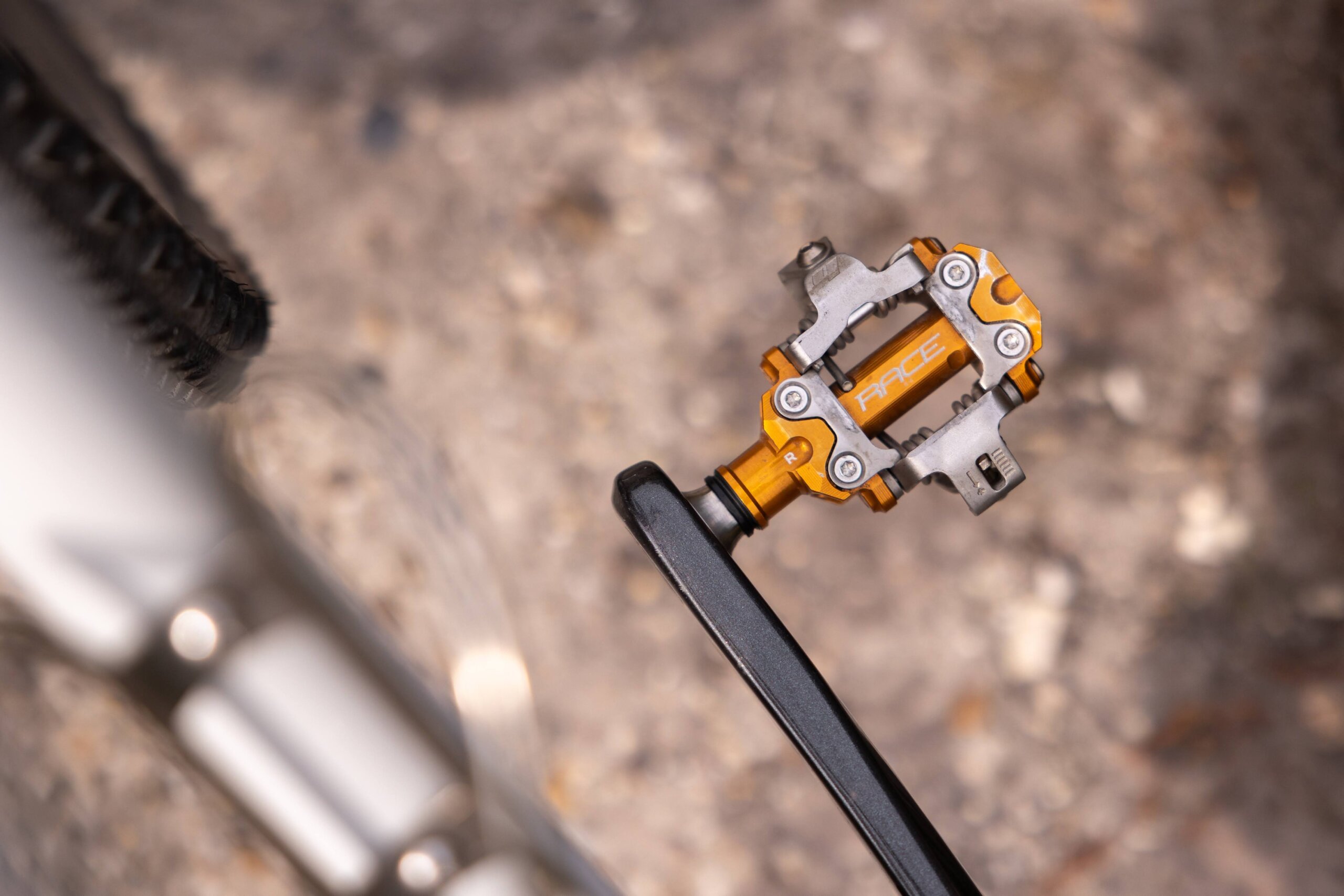 Secan 2.5 54R Monochrome