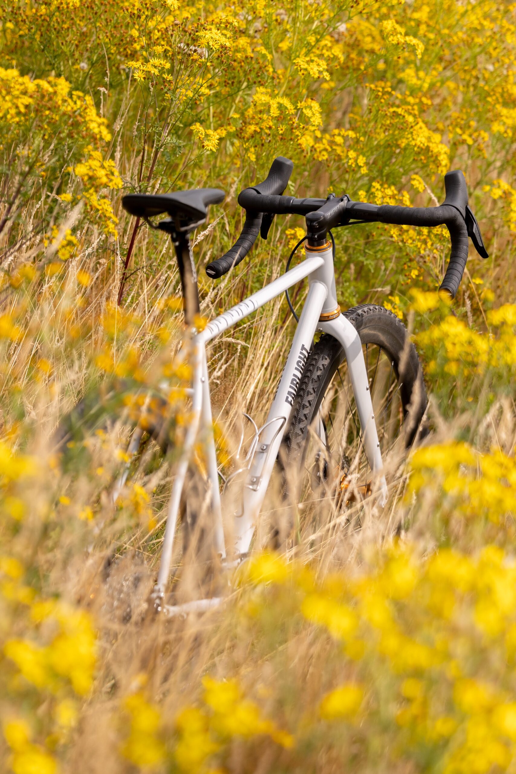 Secan 2.5 54R Monochrome