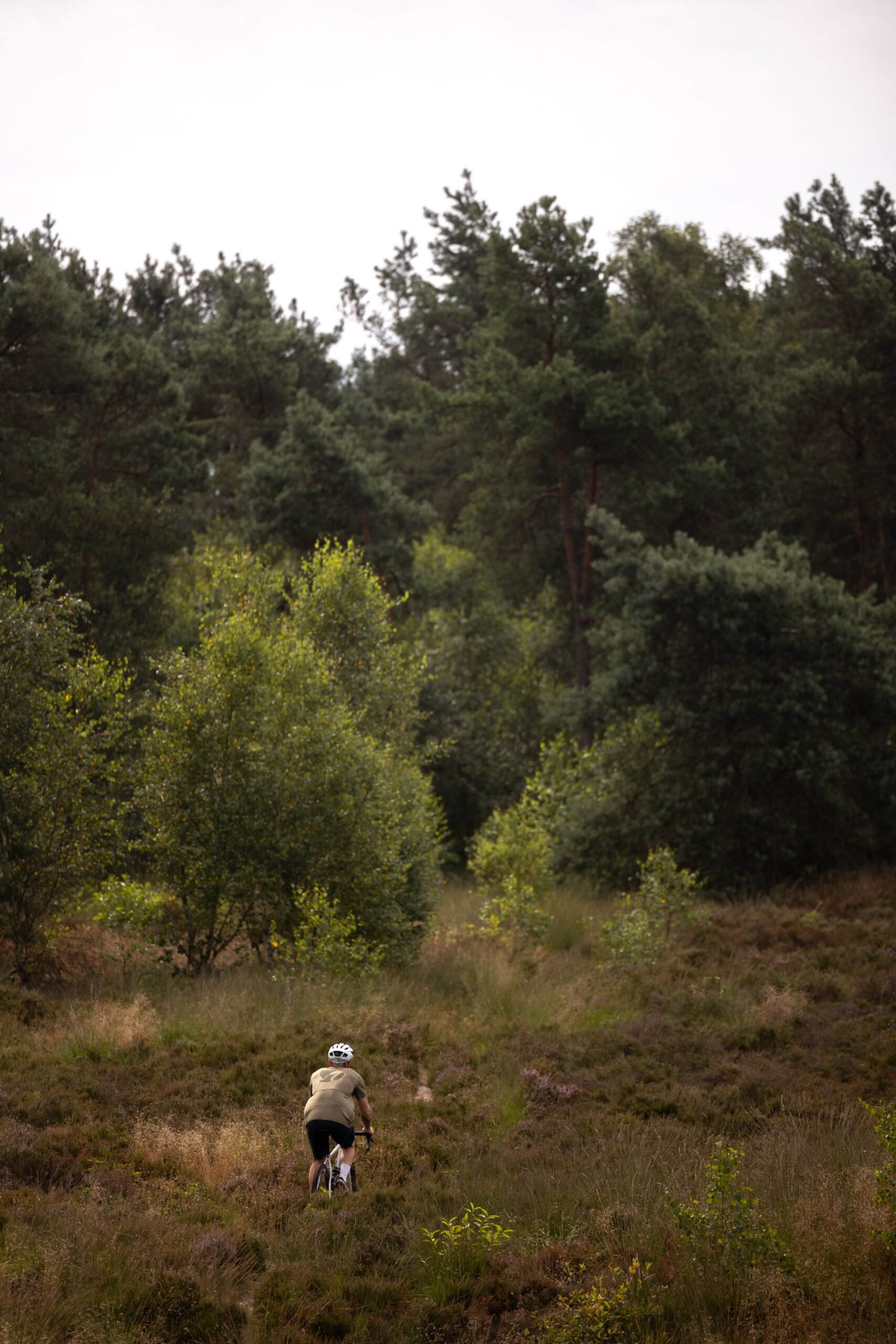 Secan 2.5 54R Monochrome