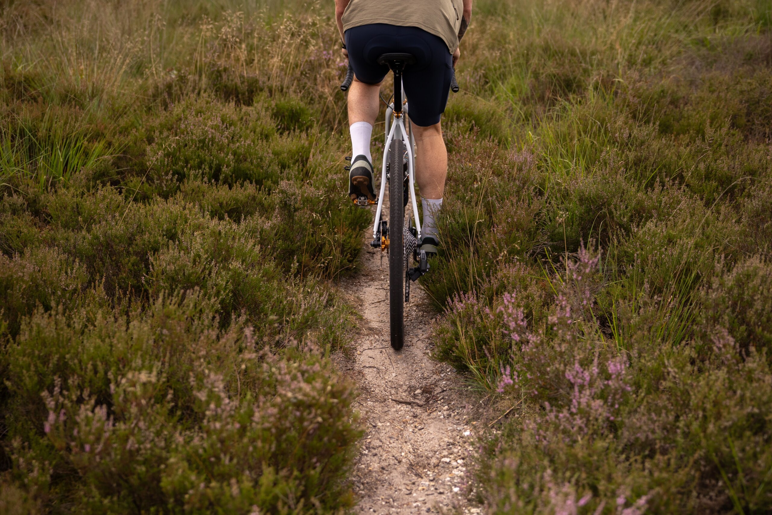 Secan 2.5 54R Monochrome