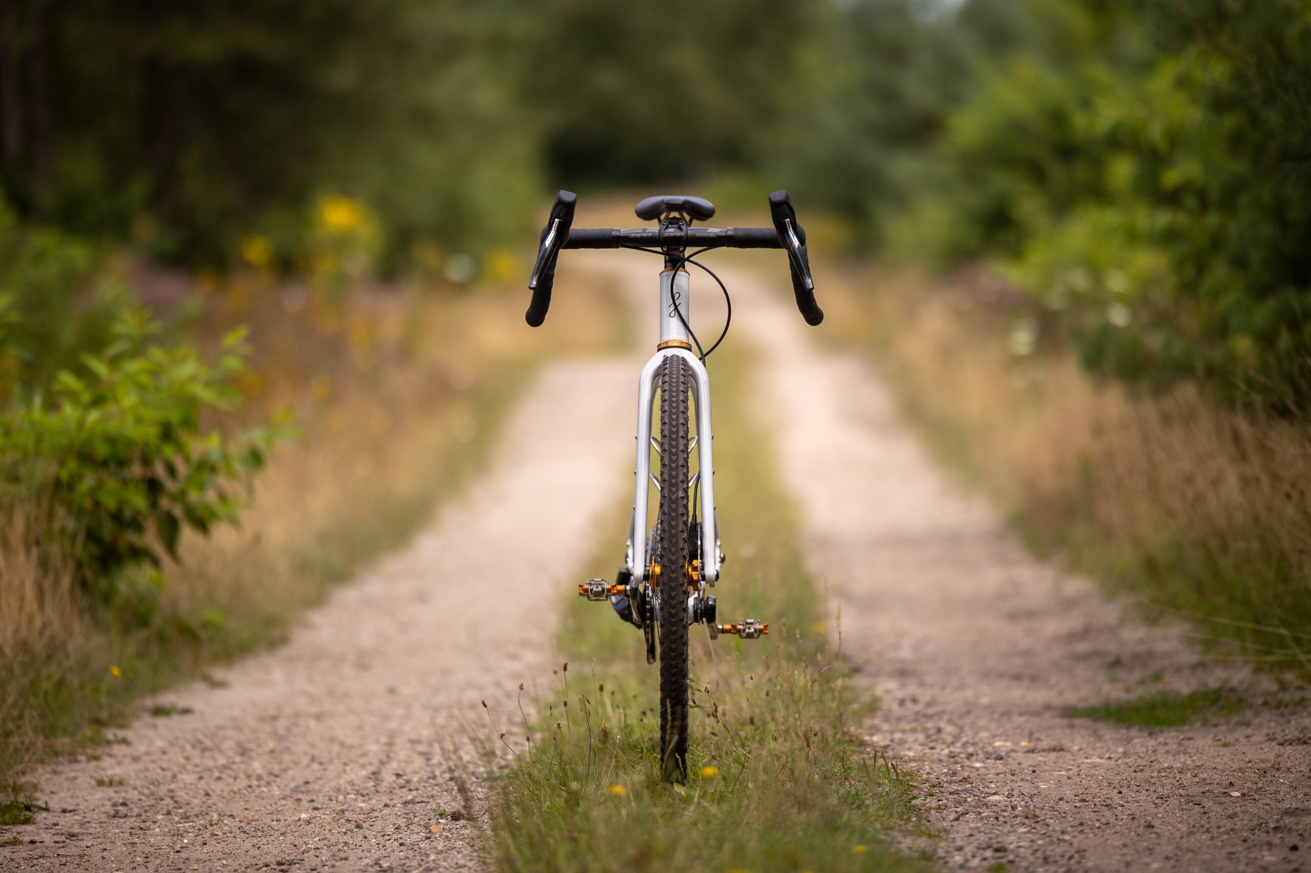 Secan 2.5 54R Monochrome