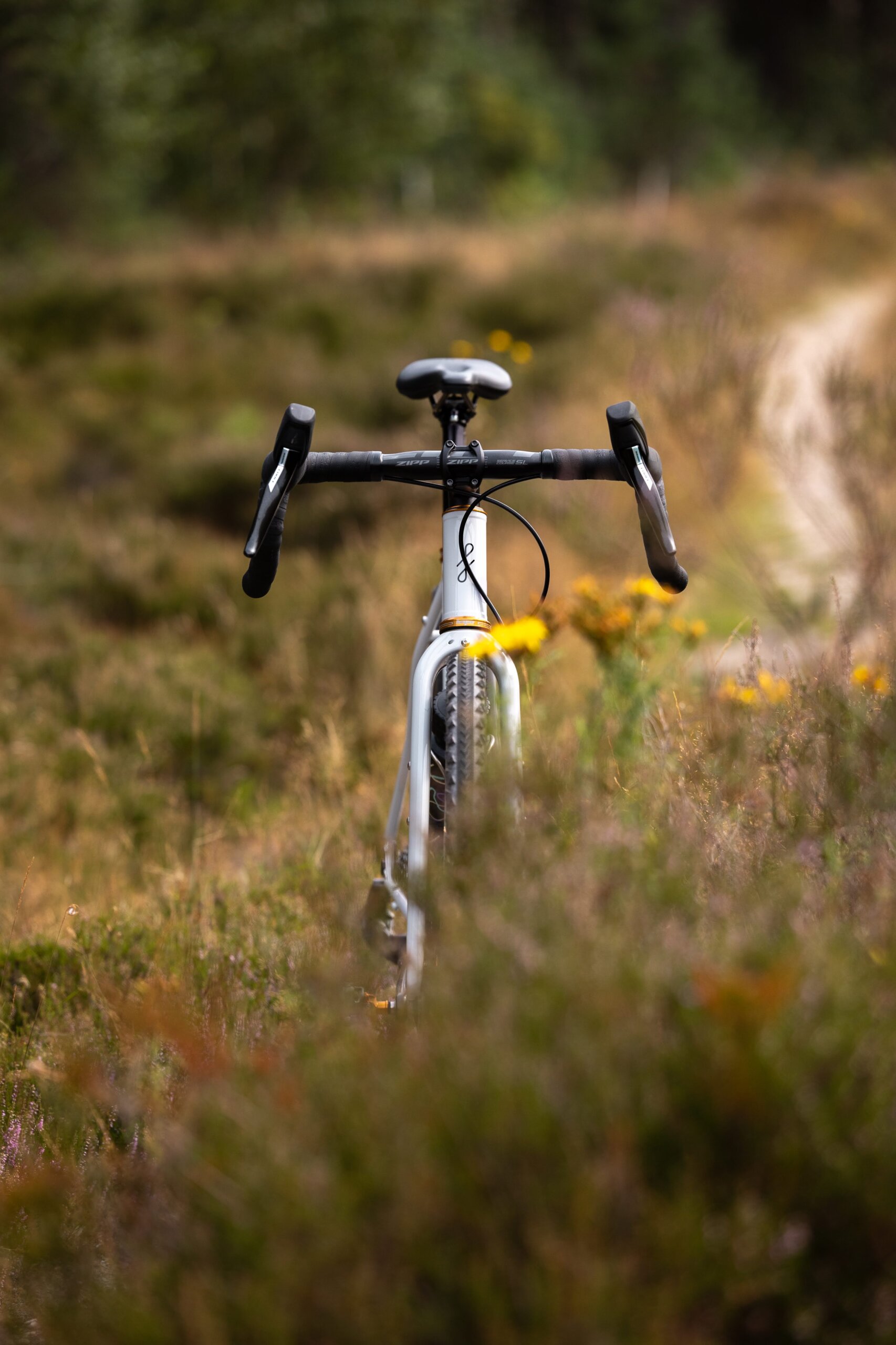 Secan 2.5 54R Monochrome