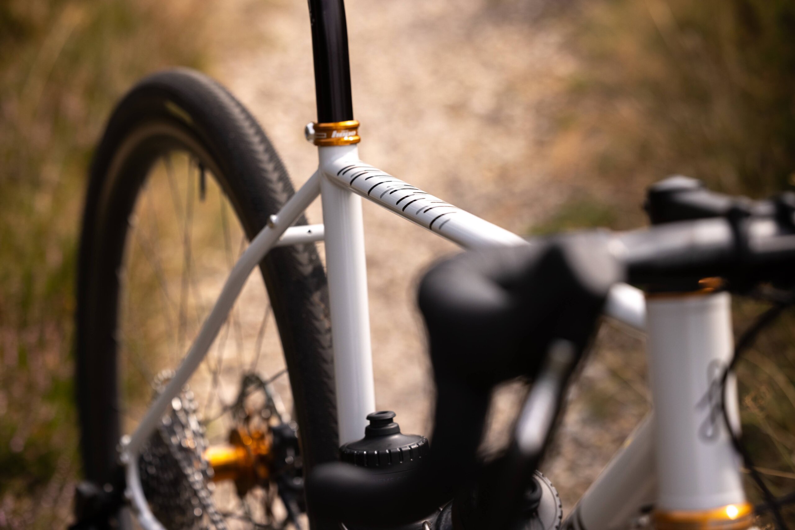 Secan 2.5 54R Monochrome