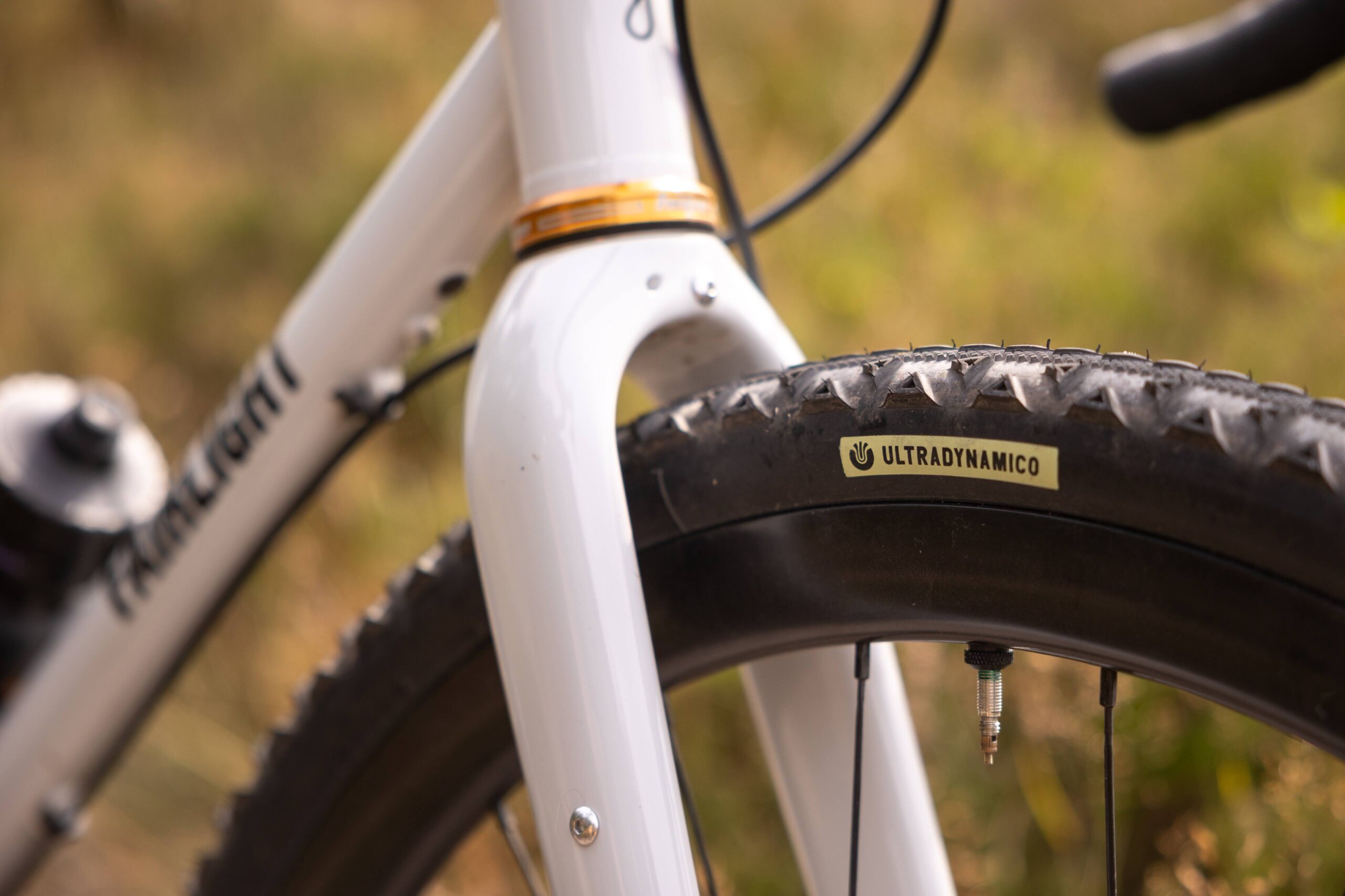 Secan 2.5 54R Monochrome